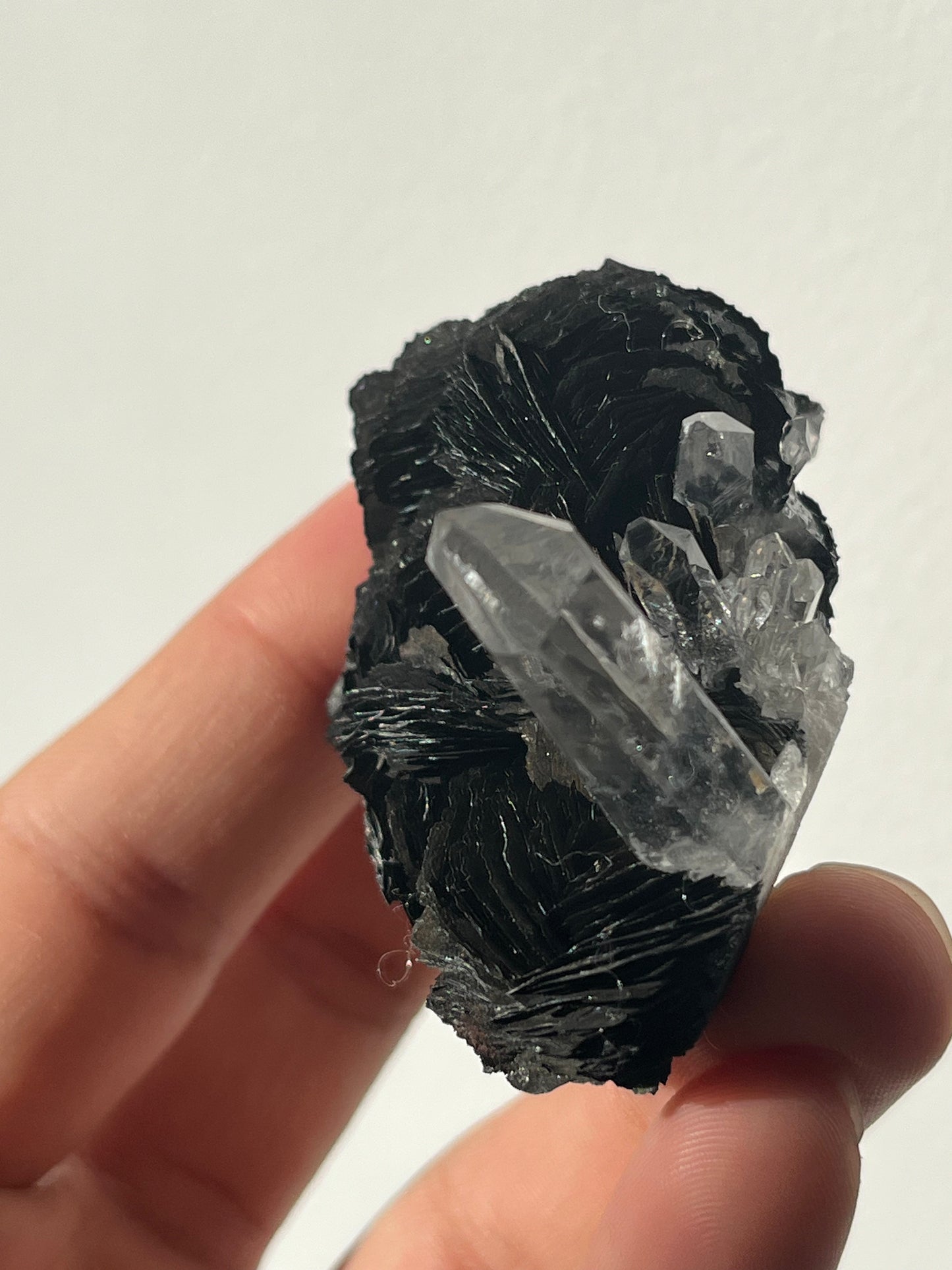 Specularite and Quartz Cluster D