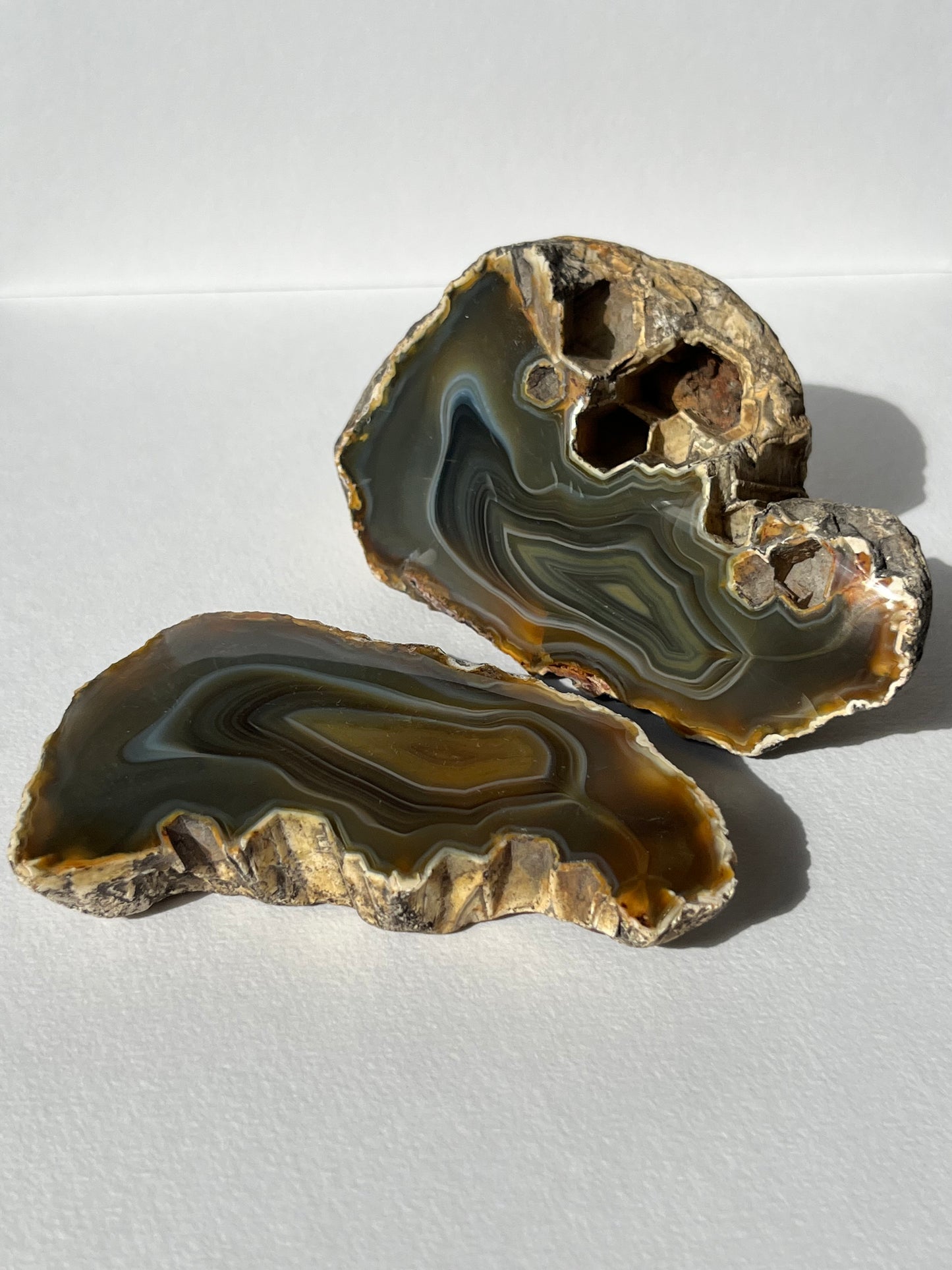 "Alluvia" West Indonesian River Agate Pair A