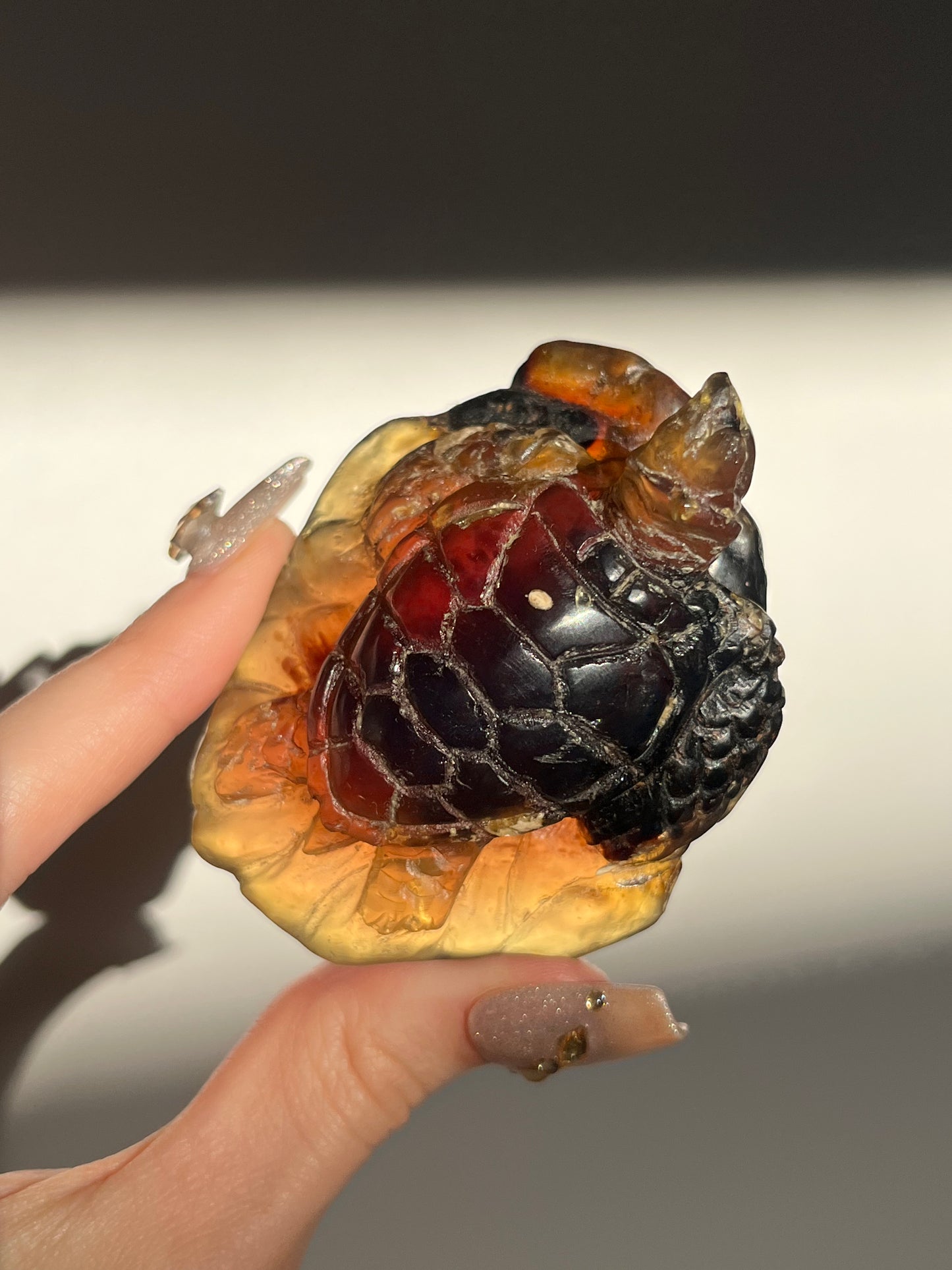 'Archelon' Sumatran Amber Tortoise Carving