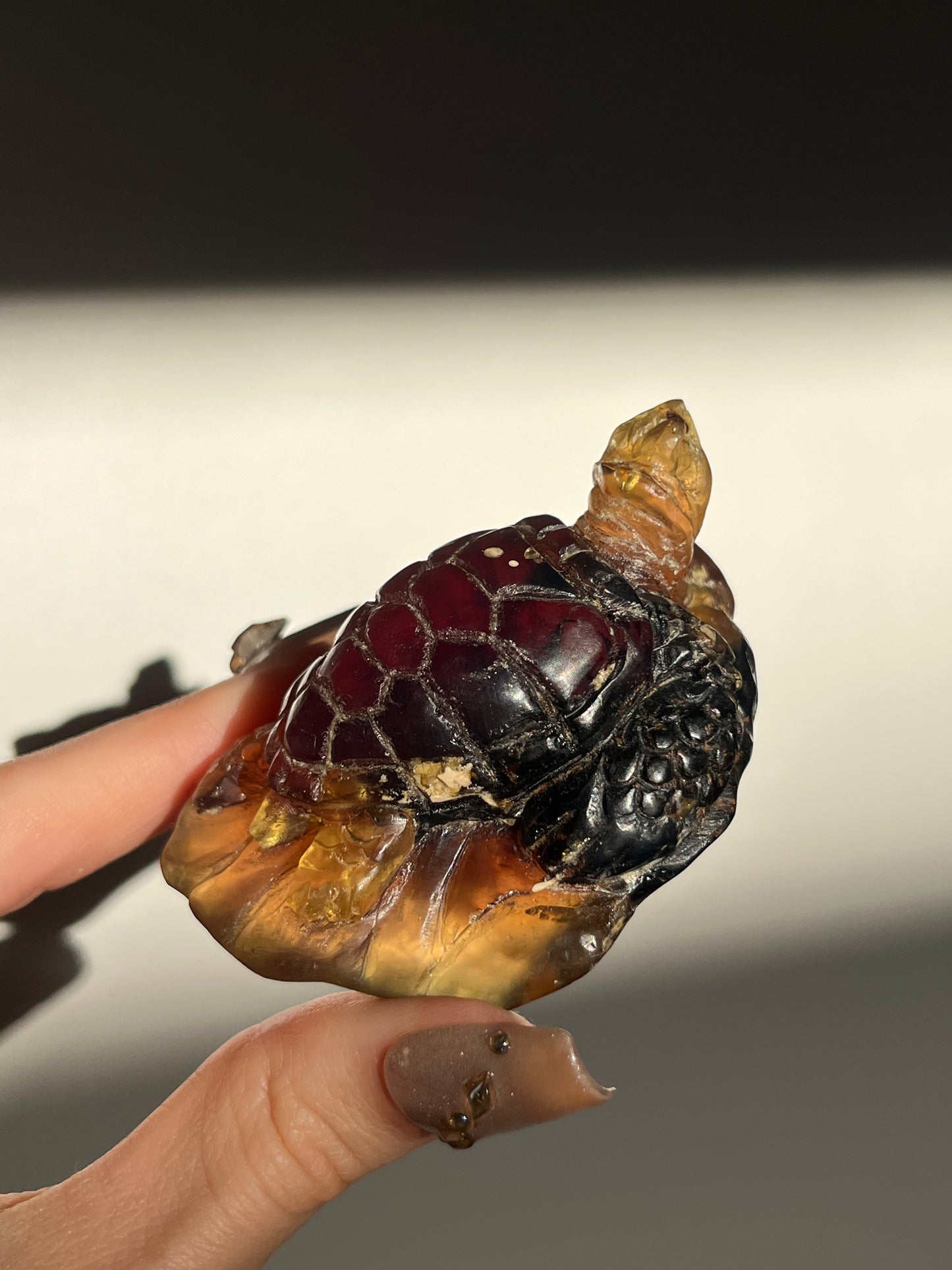 'Archelon' Sumatran Amber Tortoise Carving
