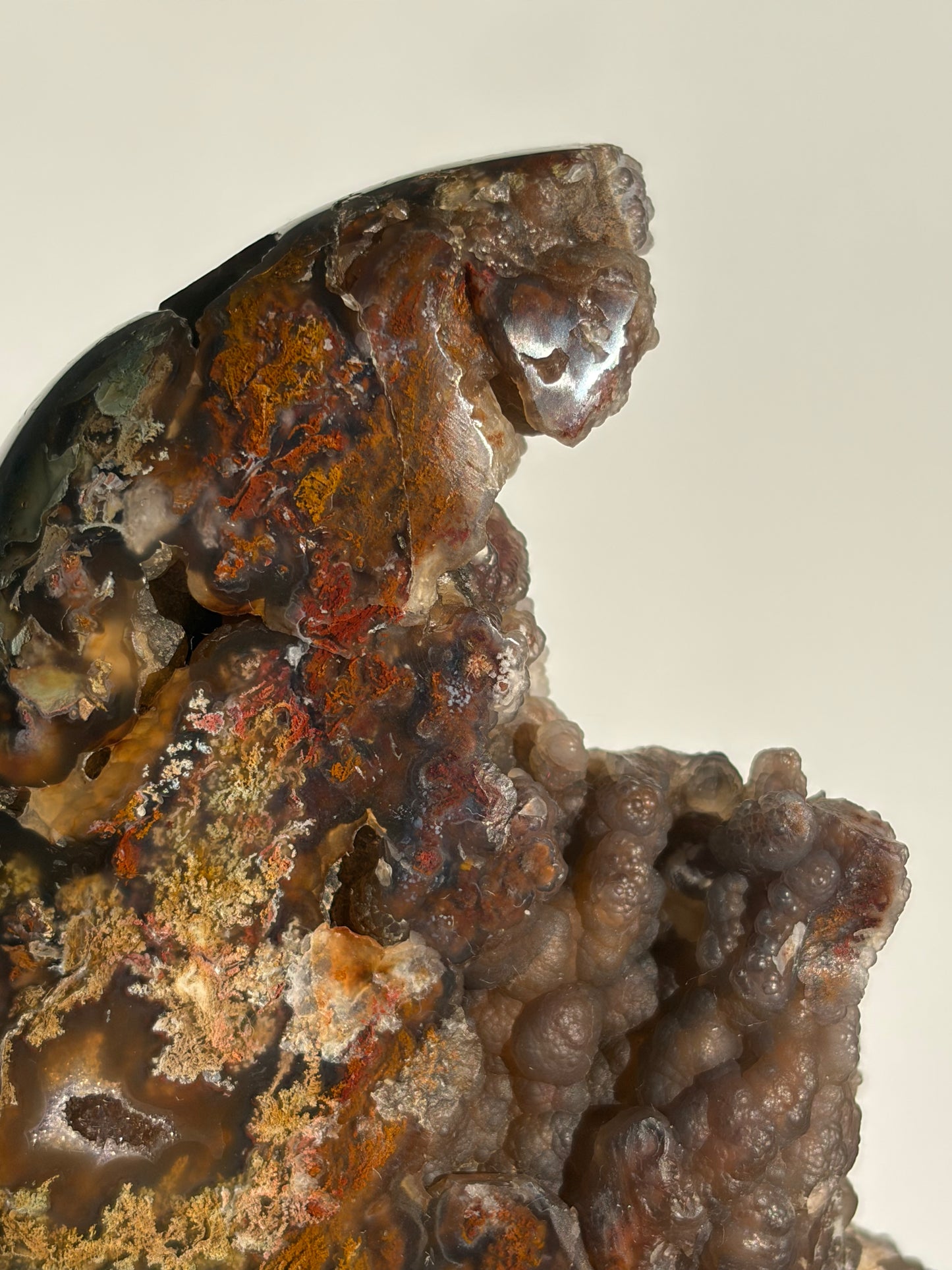“The Botanical Cosmos” Tembaga Moss in Chalcedony Botryoidal Freeform B