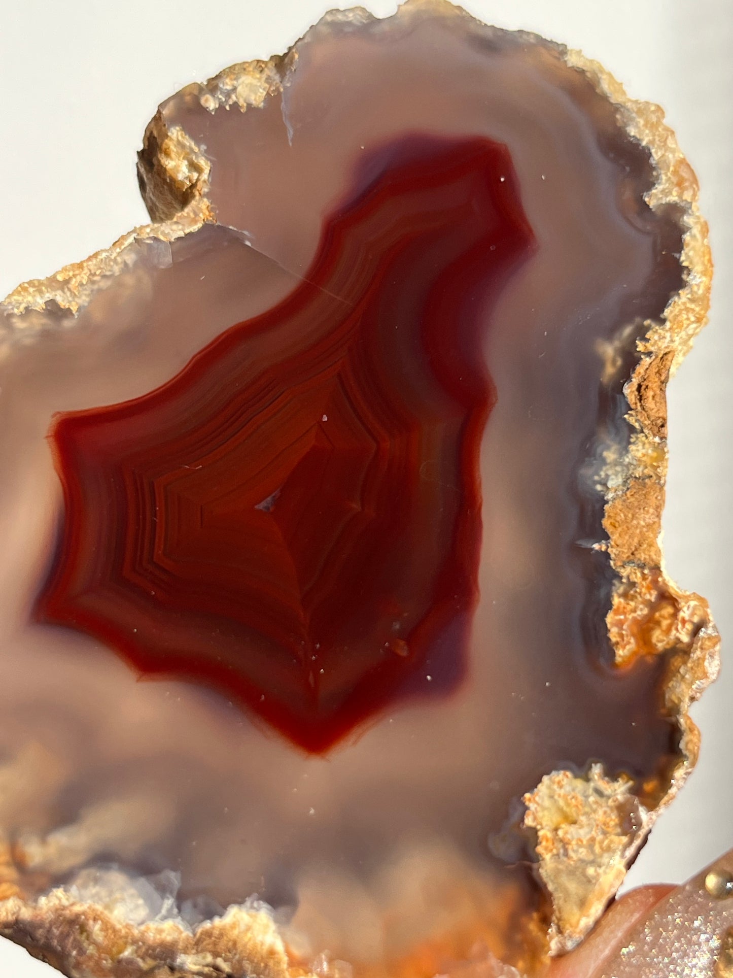 “The Molten Sigil” Translucent Red Laguna Agate with Floral Features