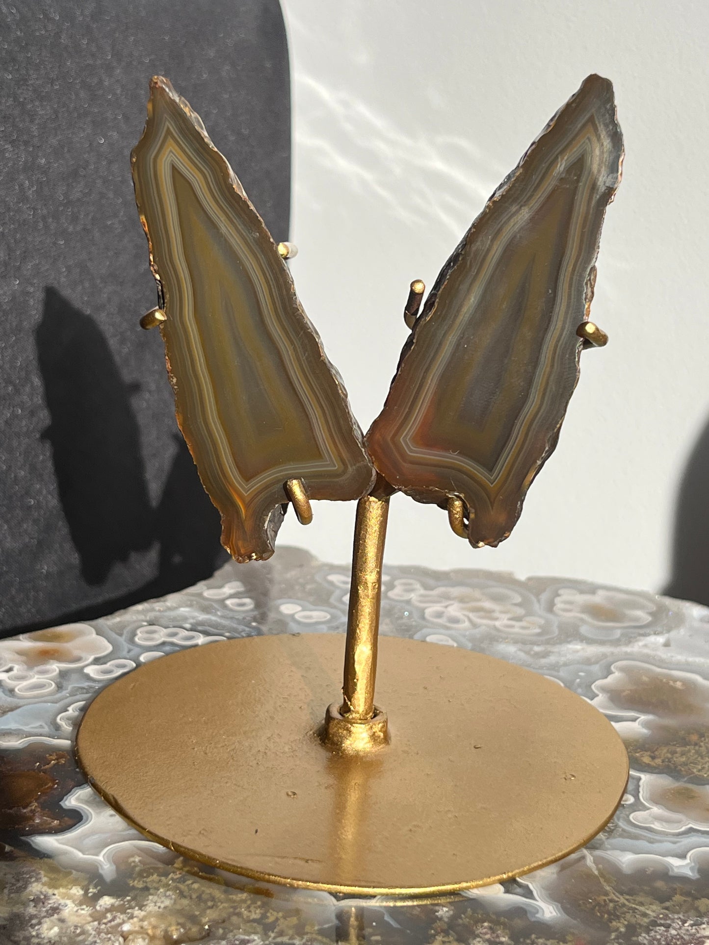“Moths at Dusk” Banded Coffee Agate Wing Set on Stand