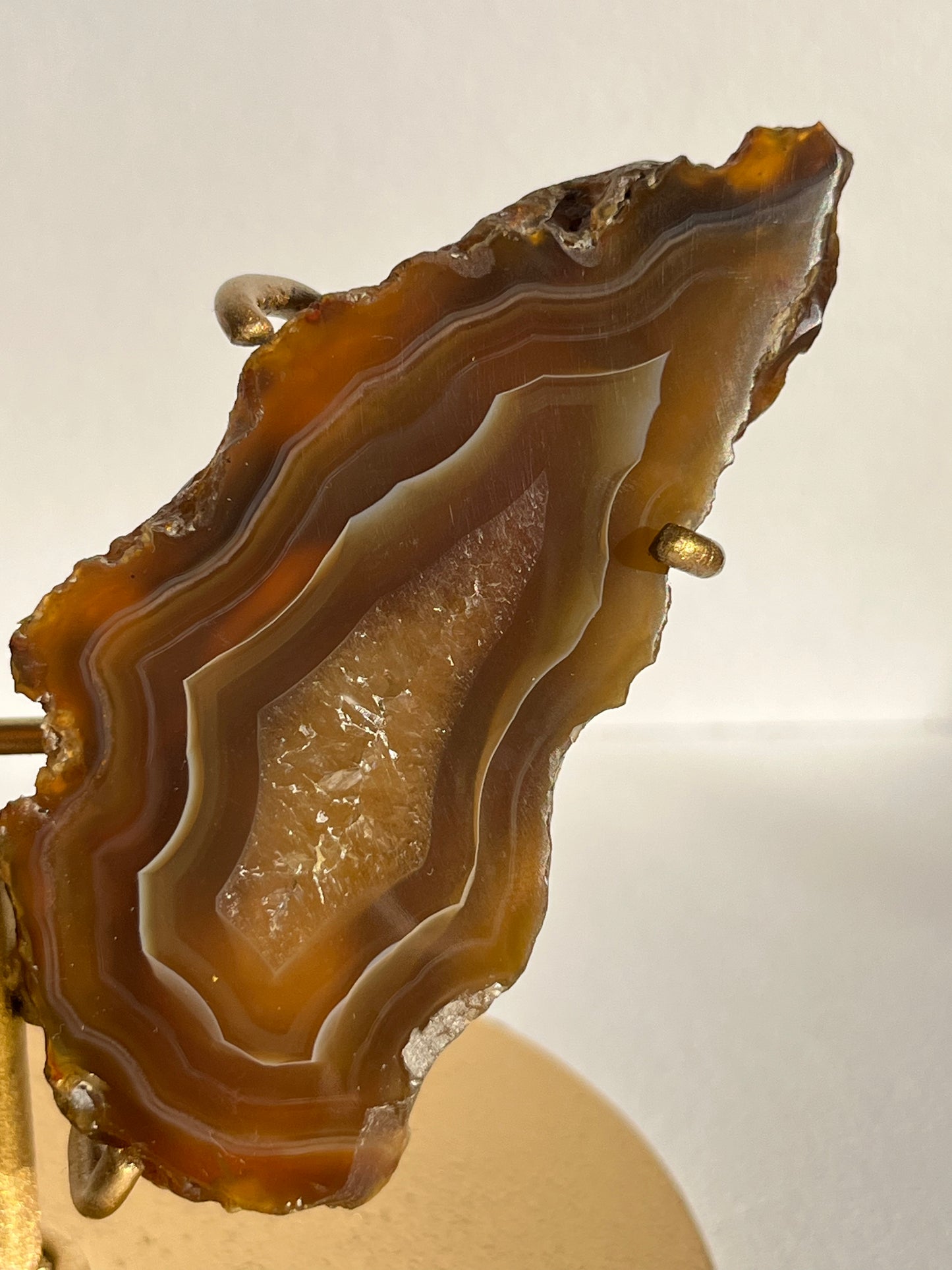“Plasma Waves” Banded Coffee Agate with Quartz Wing Set on Stand