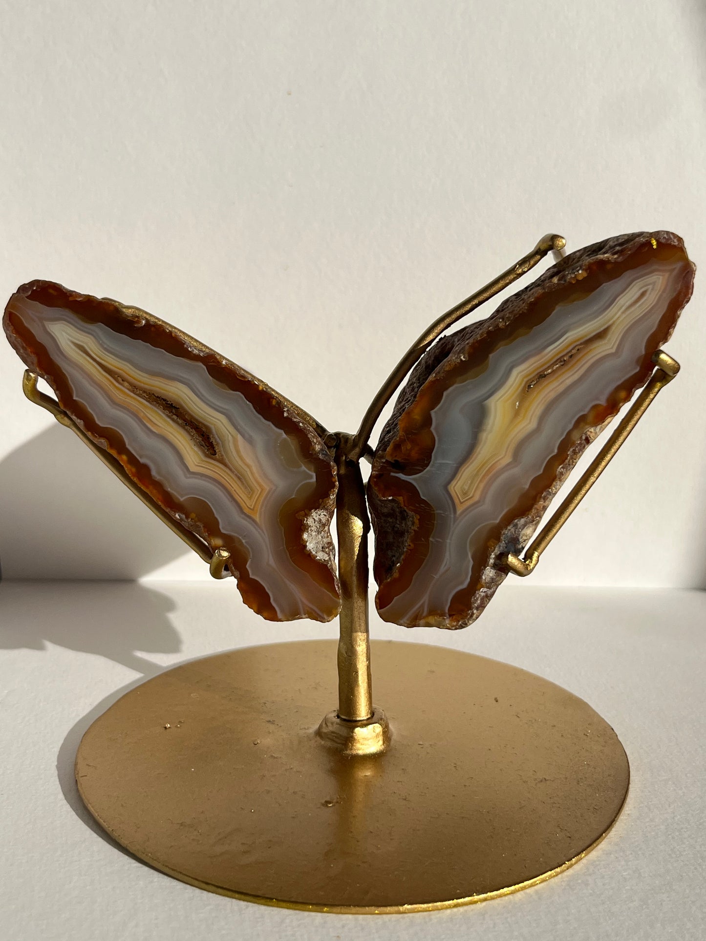 “Vanilla Dreams” Banded Natural Carnelian and Blue Banded Agate Wing Set on Stand