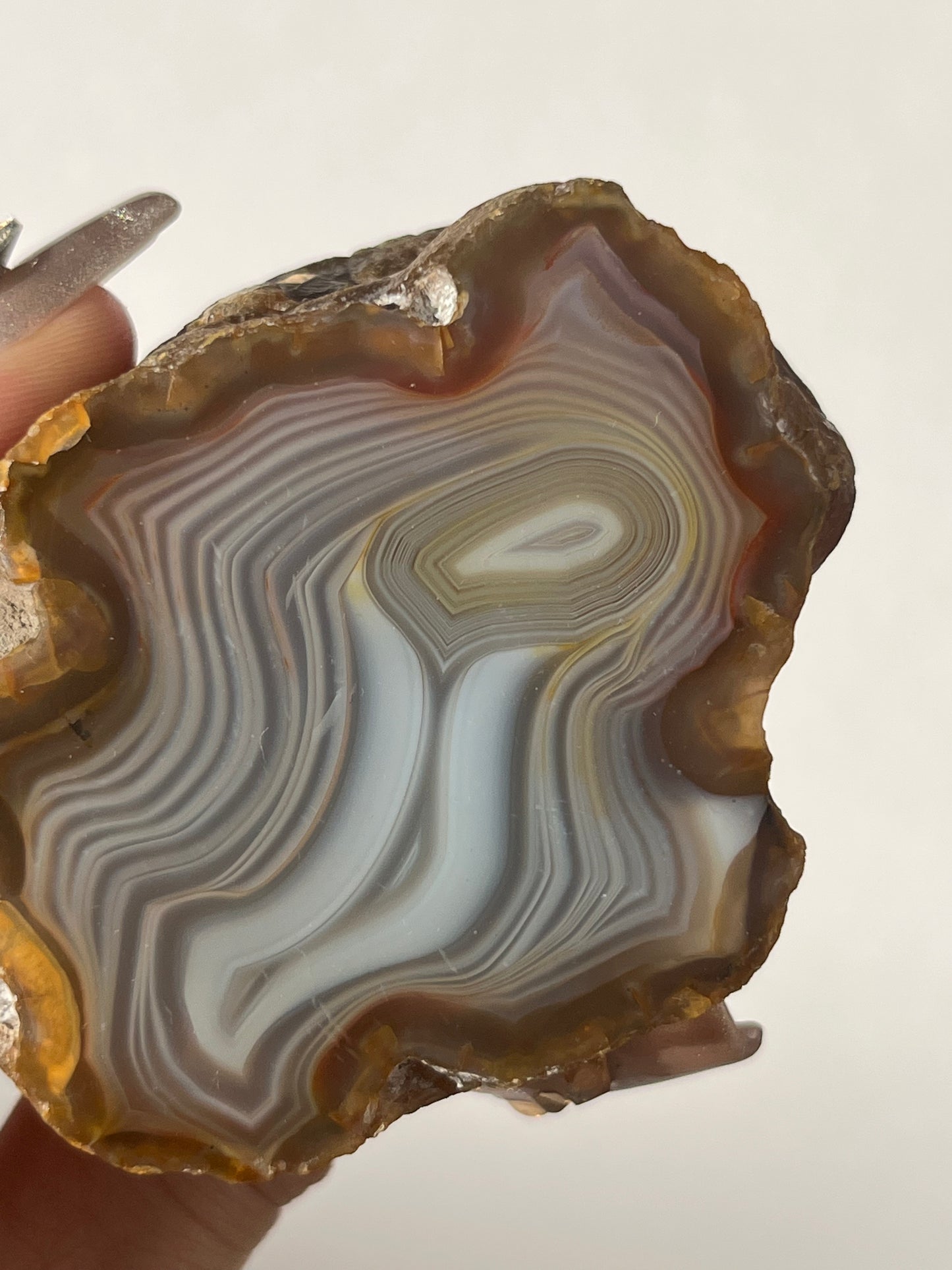 "Silhouette" West Indonesian River Agate with Parallax Effect Pair A (Collector's Choice)