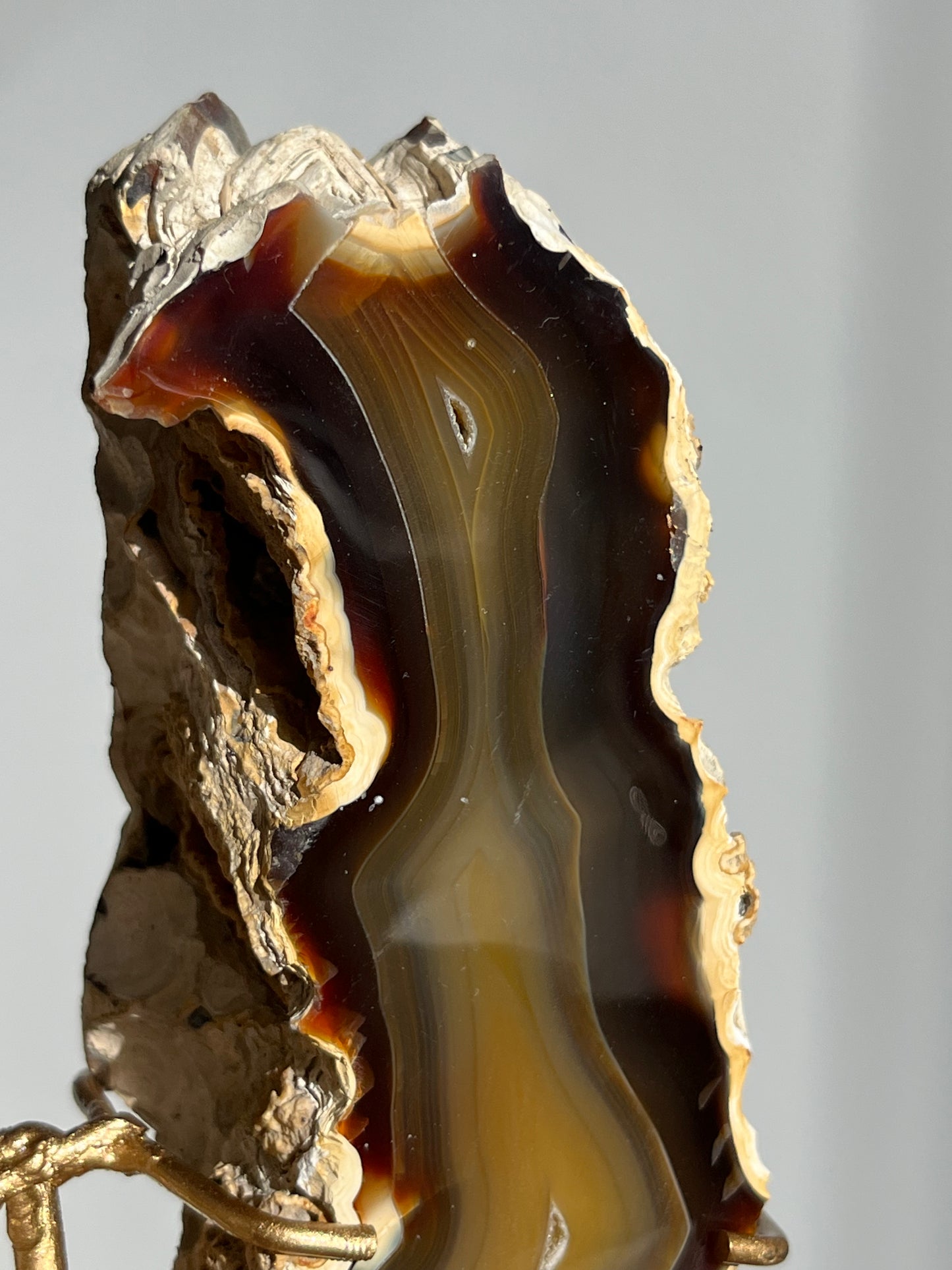 'Wings of Terra' West Indonesian Agate Butterfly Pair on Stand