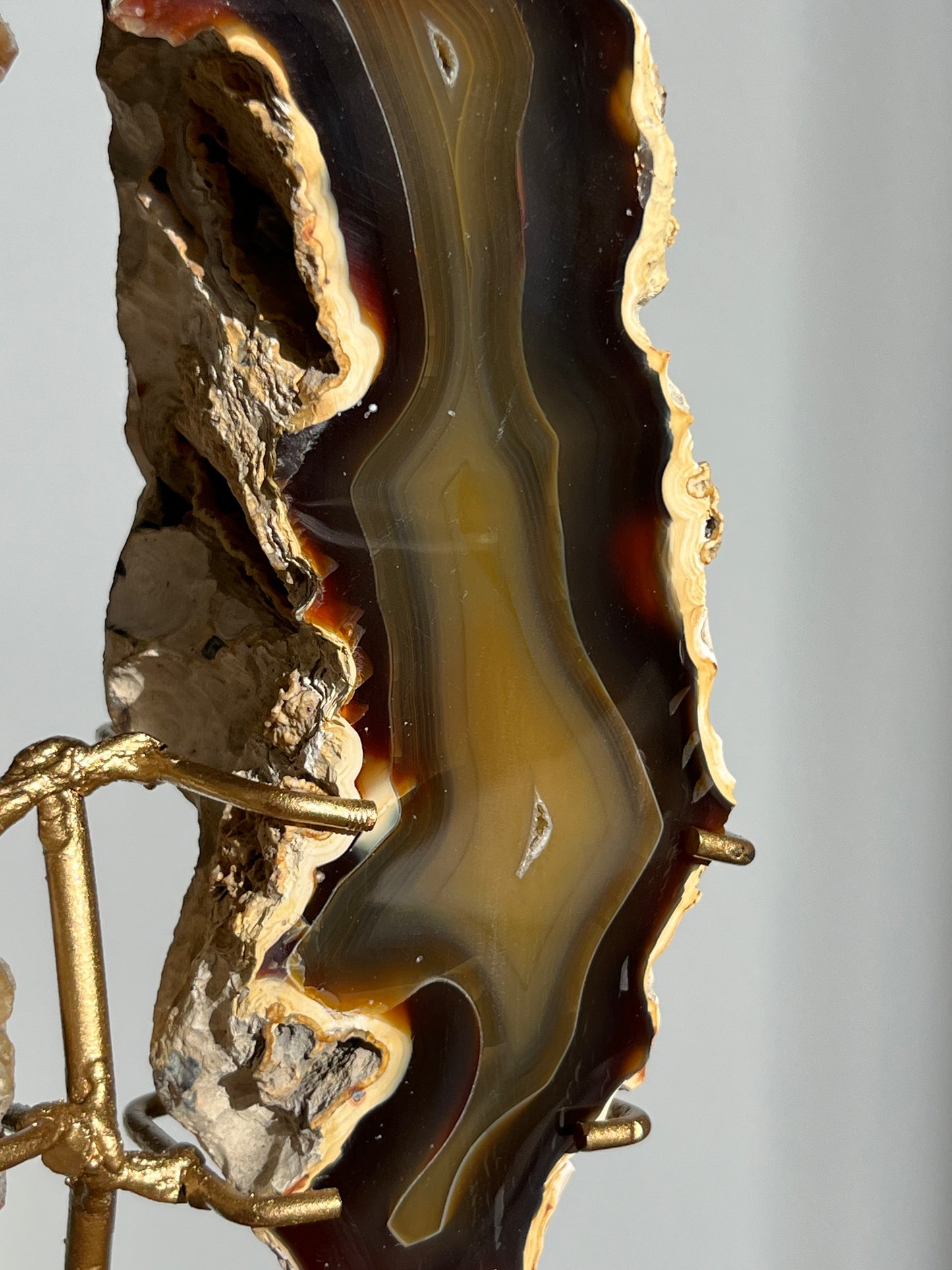 'Wings of Terra' West Indonesian Agate Butterfly Pair on Stand