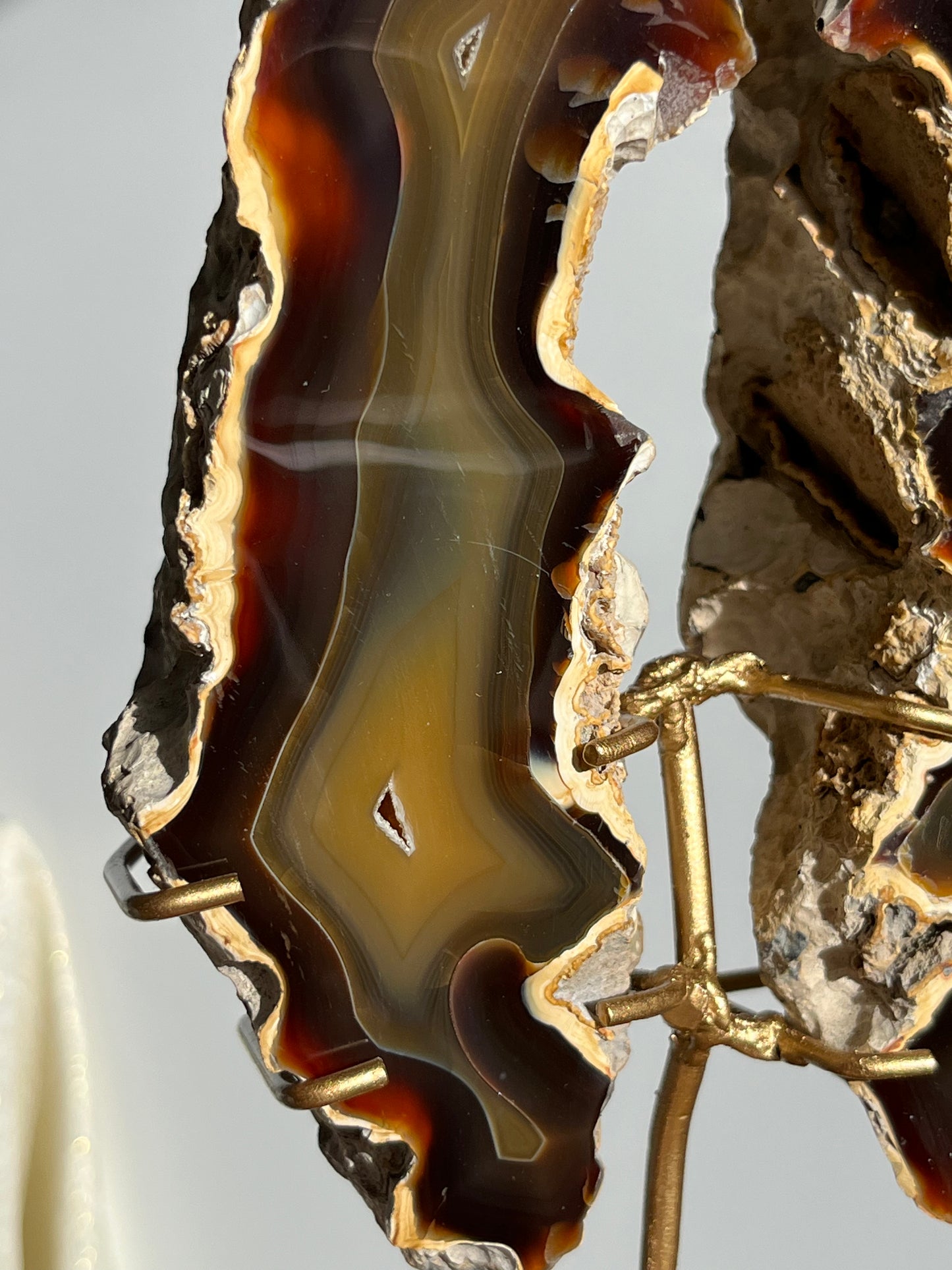 'Wings of Terra' West Indonesian Agate Butterfly Pair on Stand