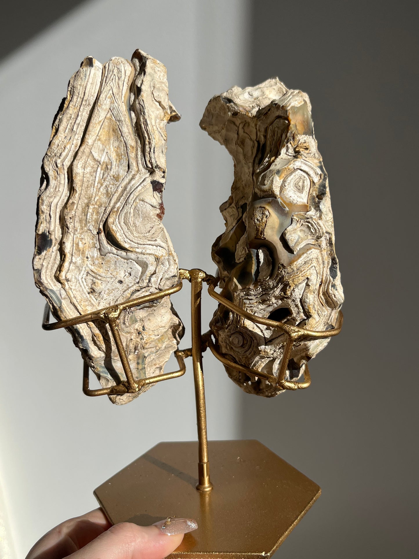 'Wings of Terra' West Indonesian Agate Butterfly Pair on Stand