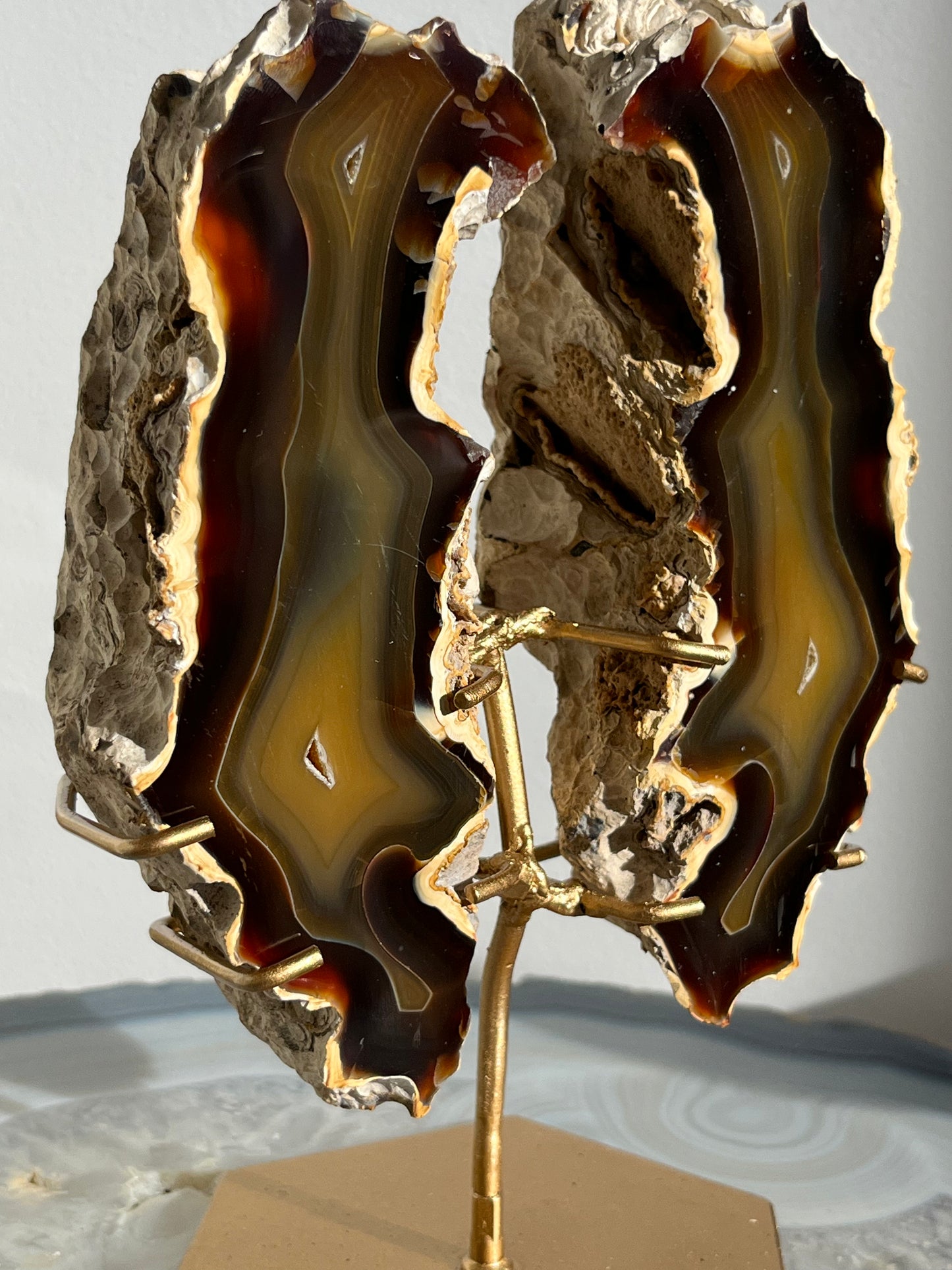 'Wings of Terra' West Indonesian Agate Butterfly Pair on Stand