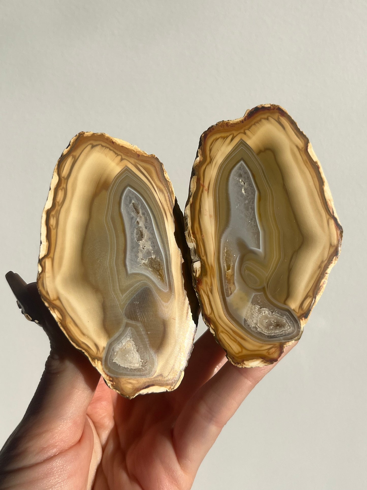 'Pastel Relics' West Indonesian Yellow Agate Pair B