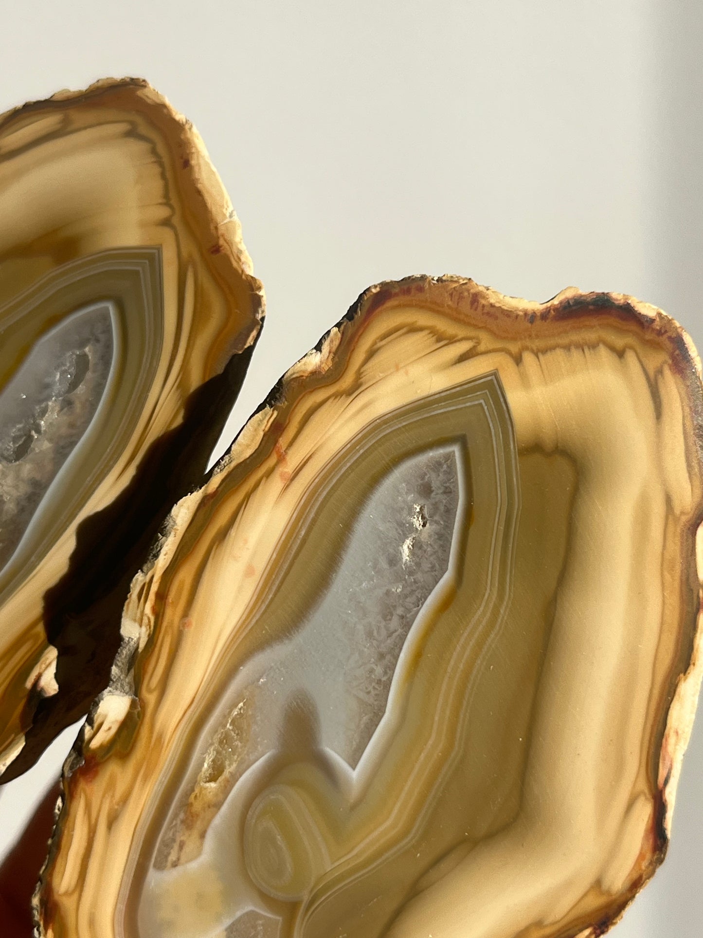 'Pastel Relics' West Indonesian Yellow Agate Pair B