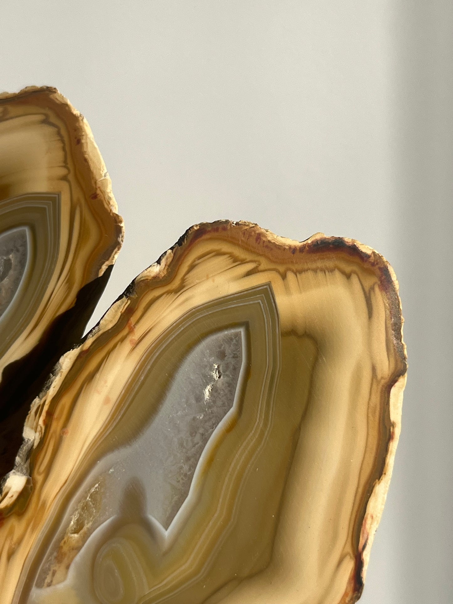 'Pastel Relics' West Indonesian Yellow Agate Pair B