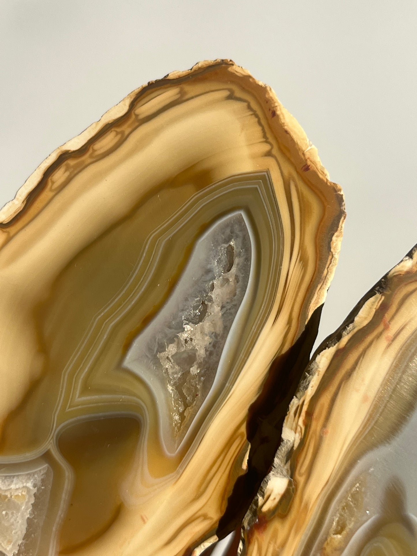 'Pastel Relics' West Indonesian Yellow Agate Pair B