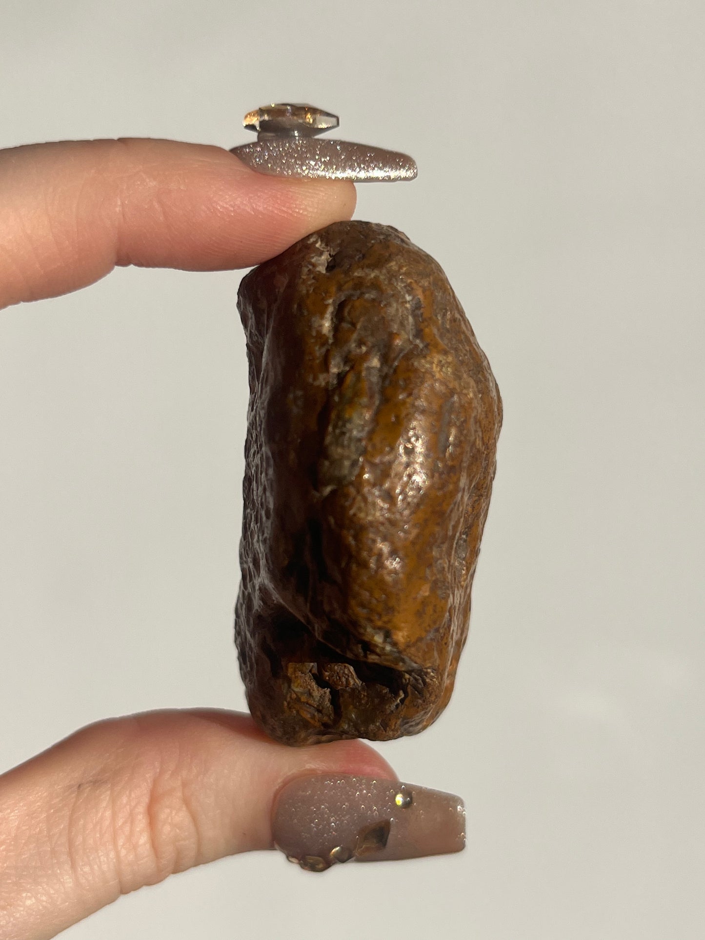 'Olive-Fire' West Indonesian Dark Brown Agate w/ Parallax Effect Pair C
