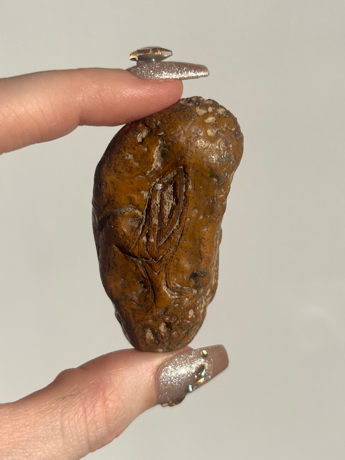 'Olive-Fire' West Indonesian Dark Brown Agate w/ Parallax Effect Pair C