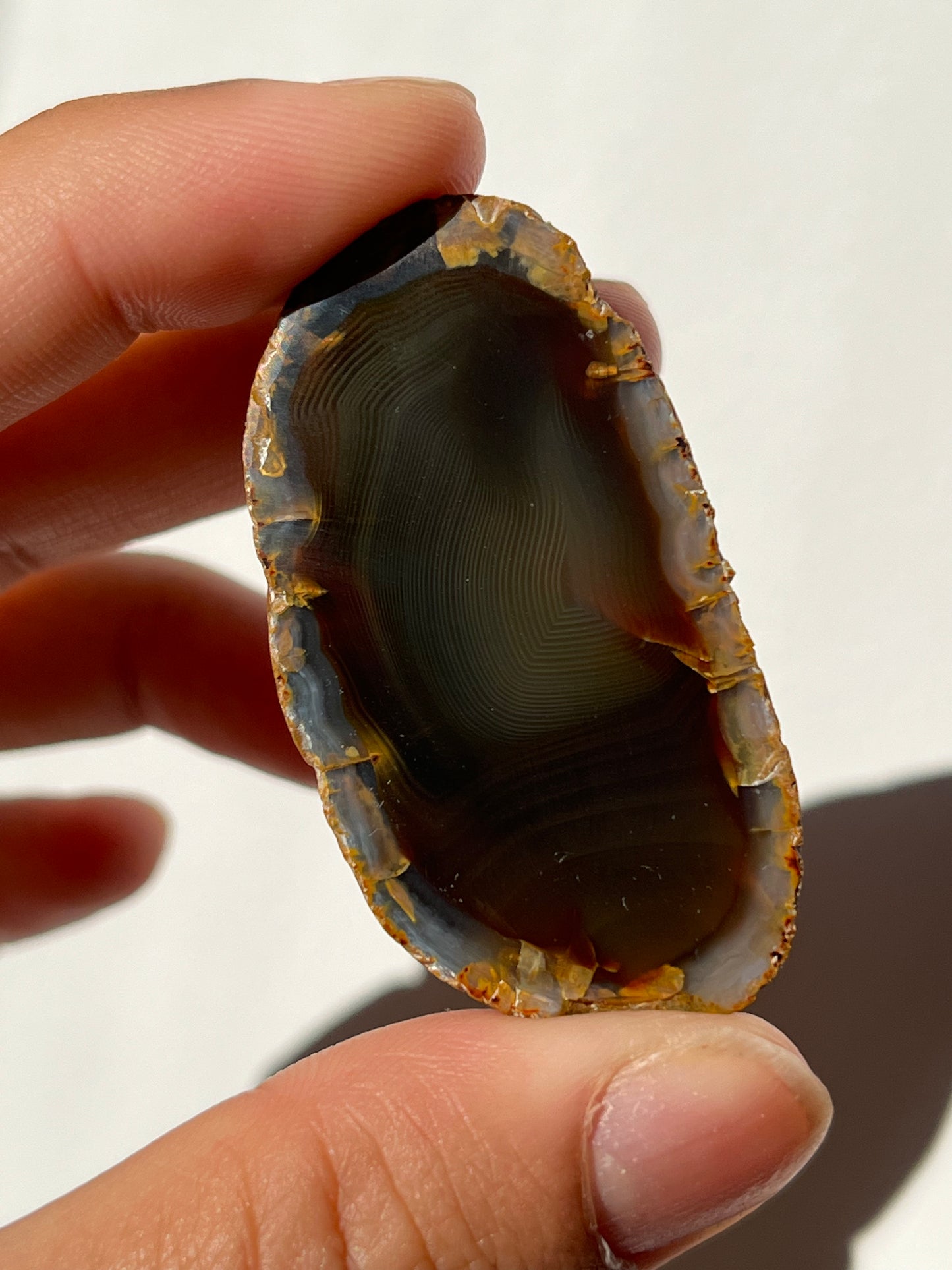 'Gilded Eclipse' West Indonesian River Agate Pair w/ Fingerprint Banding N