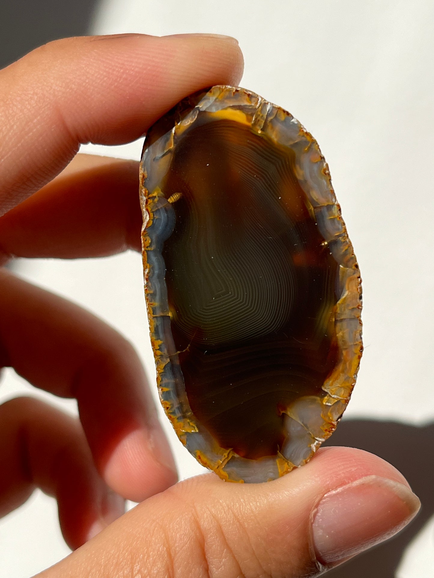 'Gilded Eclipse' West Indonesian River Agate Pair w/ Fingerprint Banding N