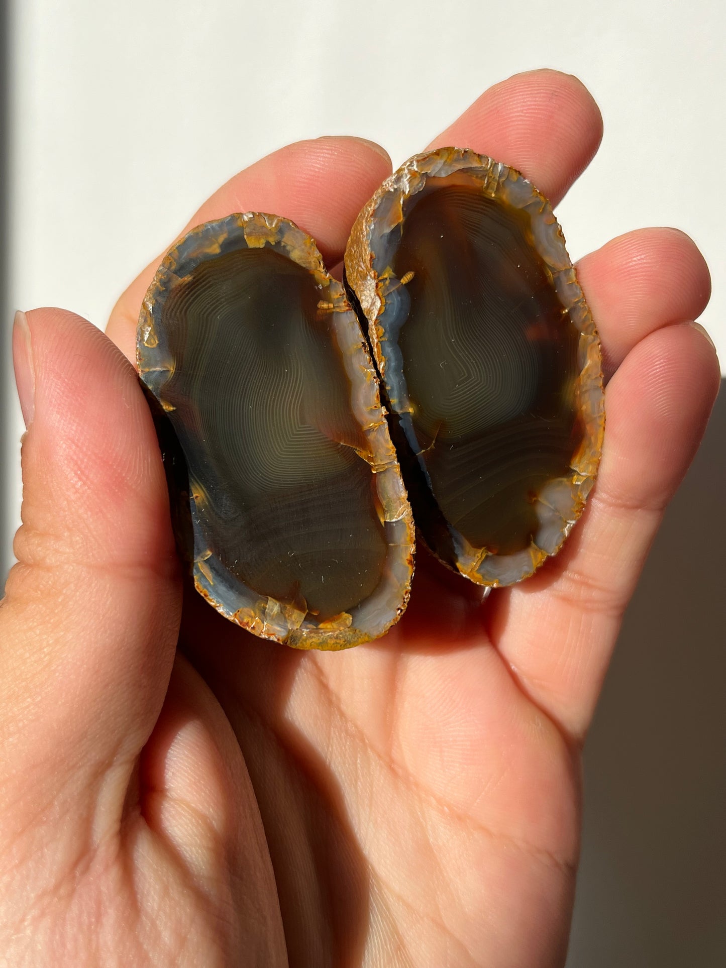 'Gilded Eclipse' West Indonesian River Agate Pair w/ Fingerprint Banding N