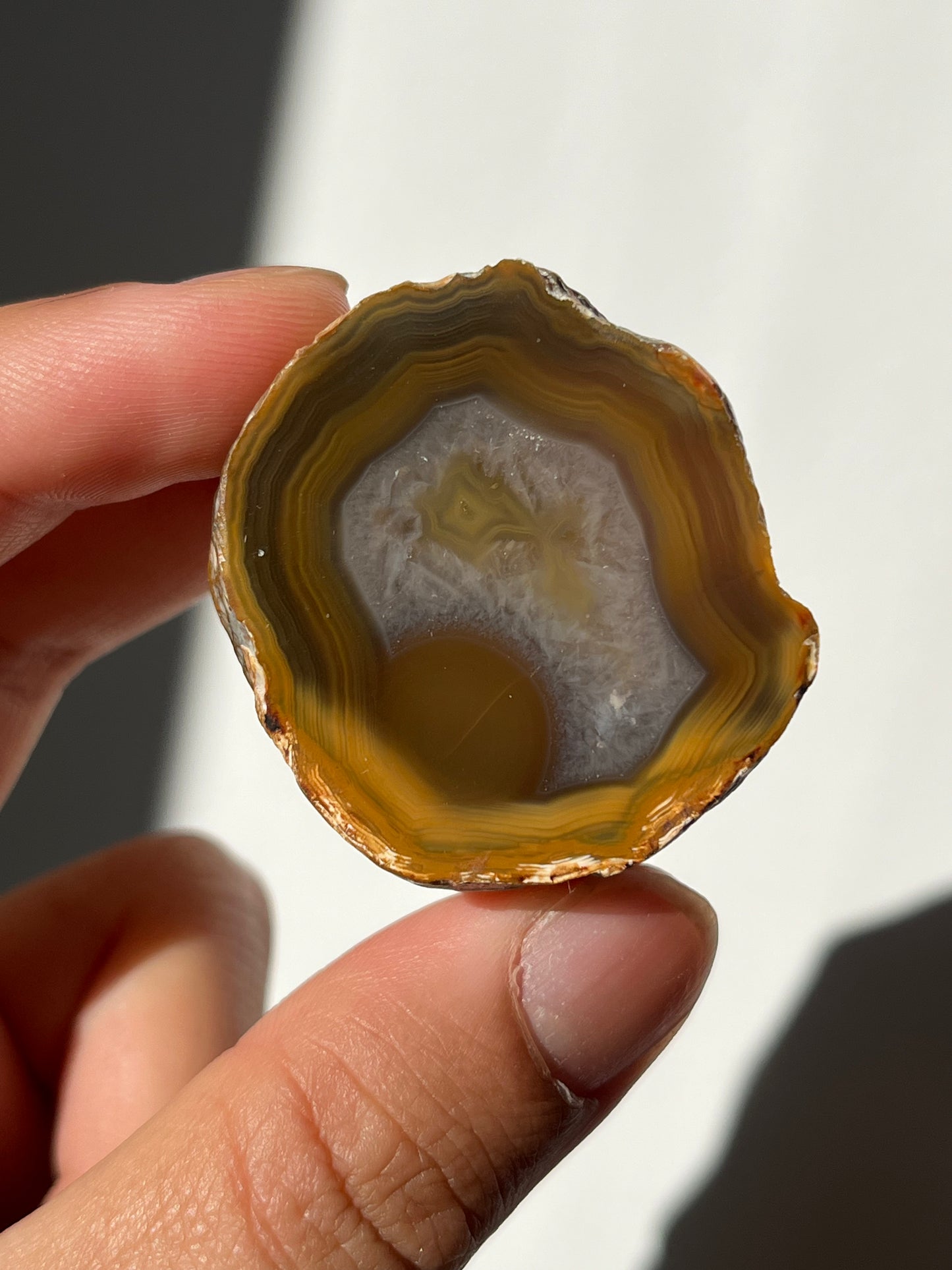 'Honey Nest' West Indonesian River Agate Pair O