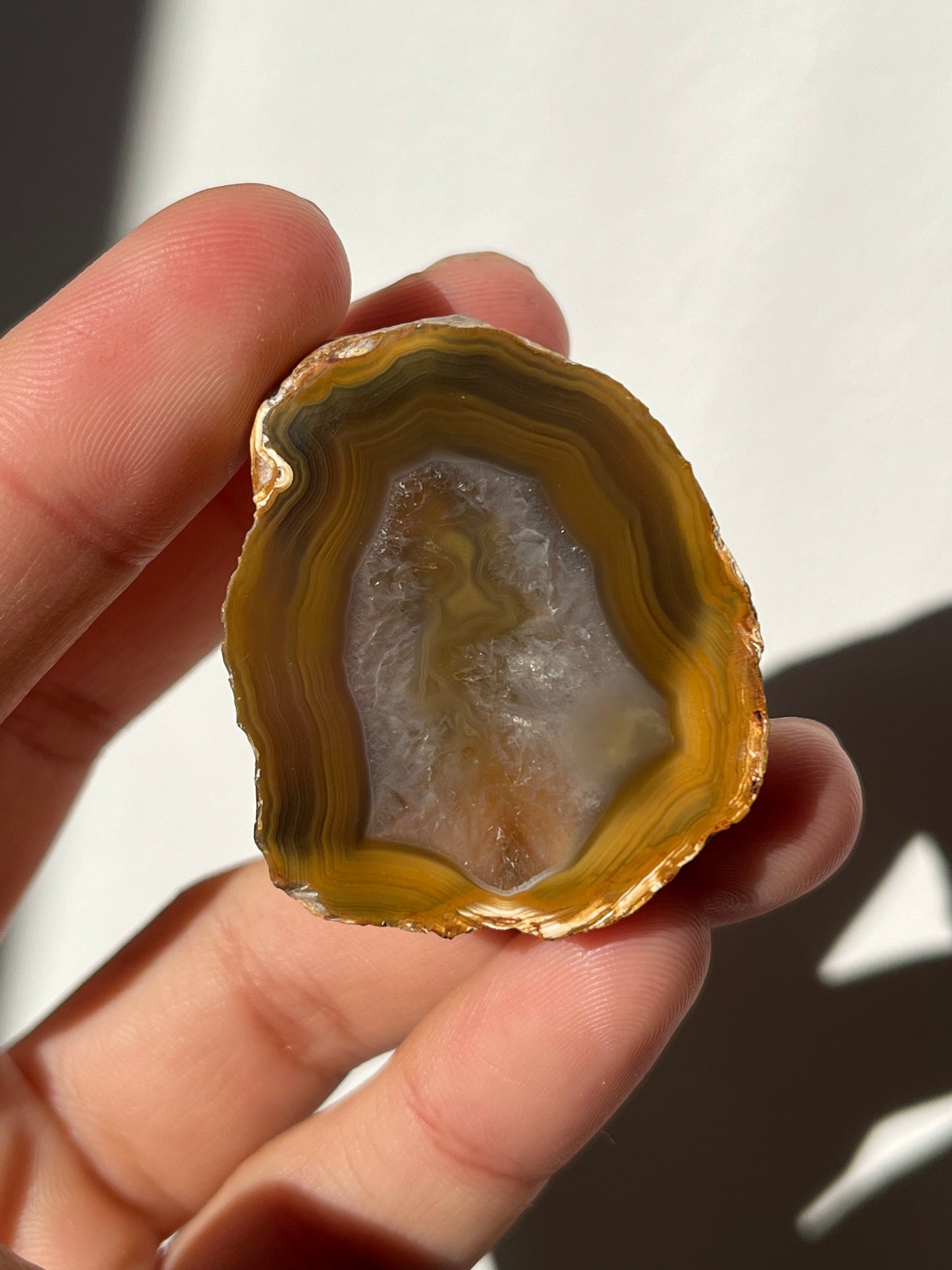 'Honey Nest' West Indonesian River Agate Pair O