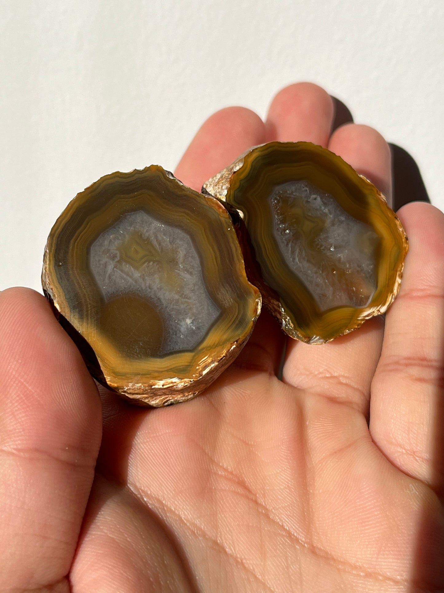 'Honey Nest' West Indonesian River Agate Pair O