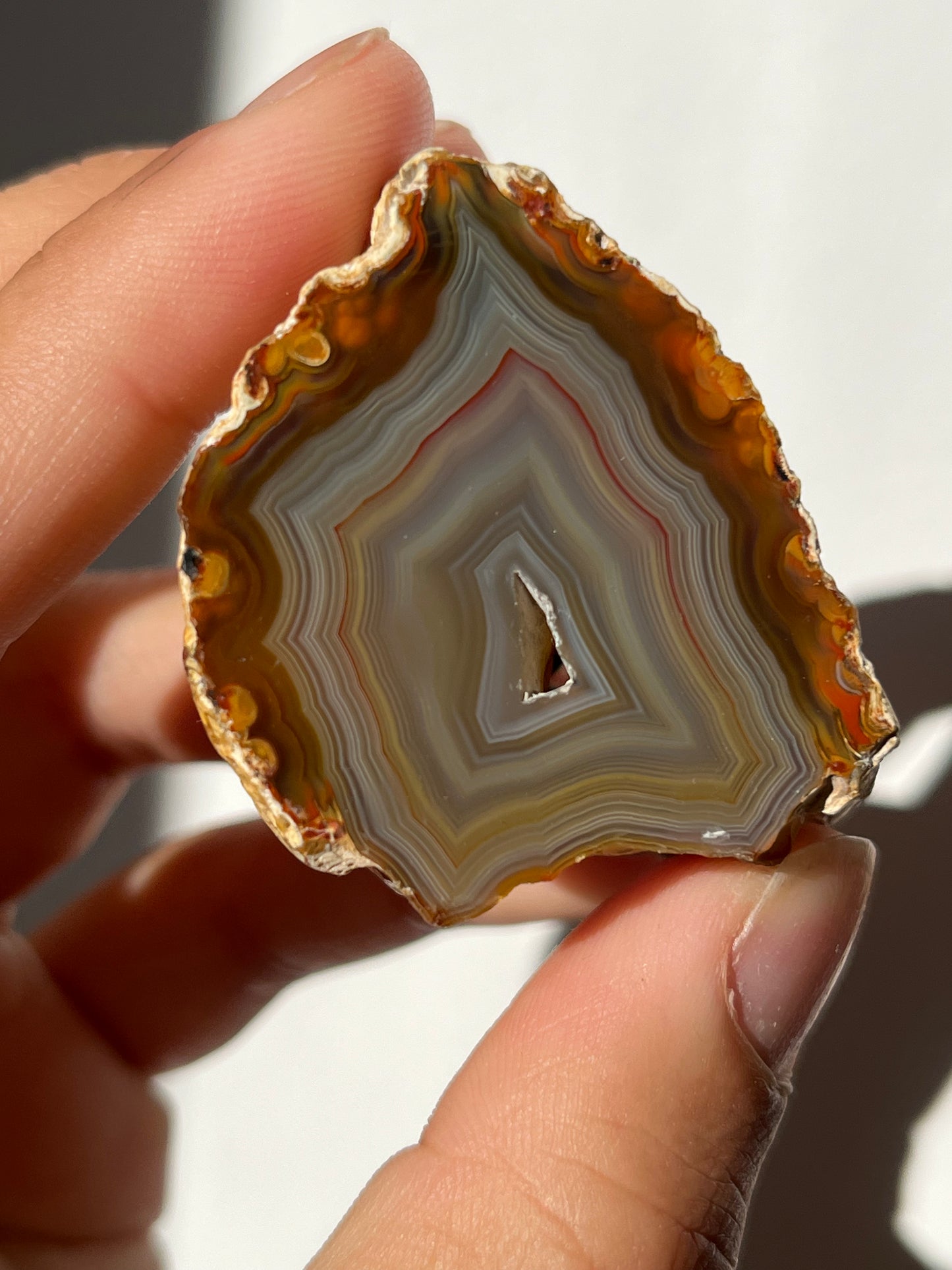 'Banded Oasis' West Indonesian River Agate Pair #B