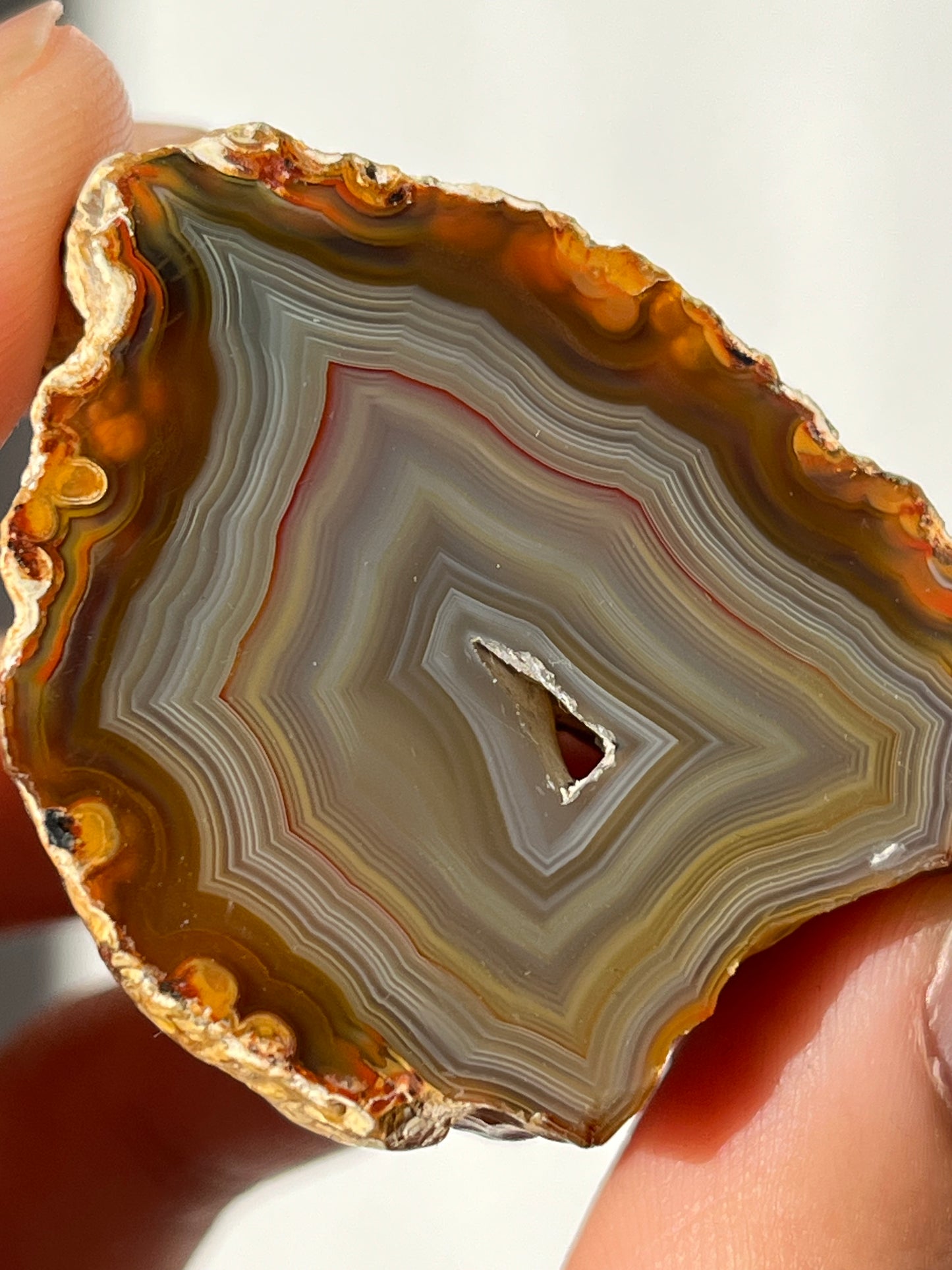 'Banded Oasis' West Indonesian River Agate Pair #B
