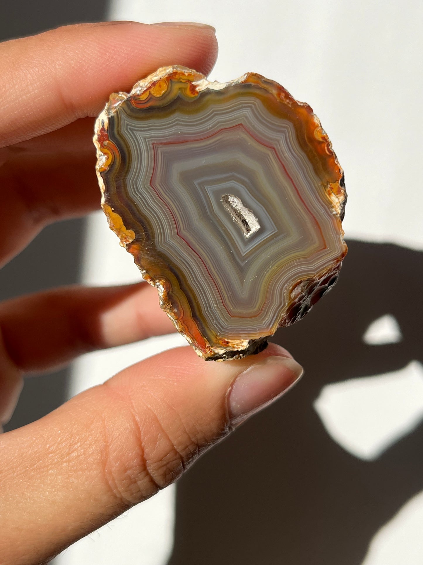 'Banded Oasis' West Indonesian River Agate Pair #B