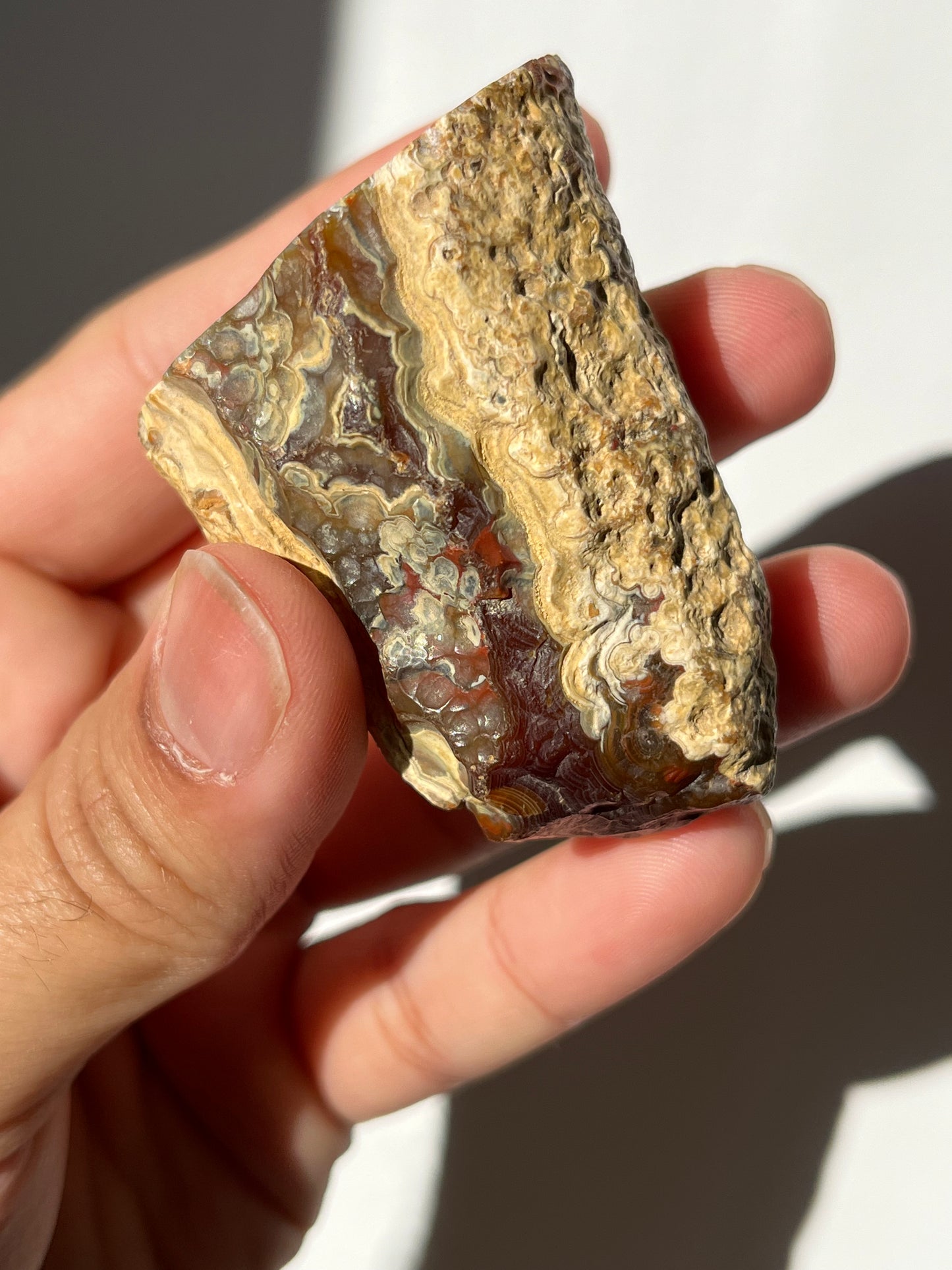 'Banded Oasis' West Indonesian River Agate Pair #B