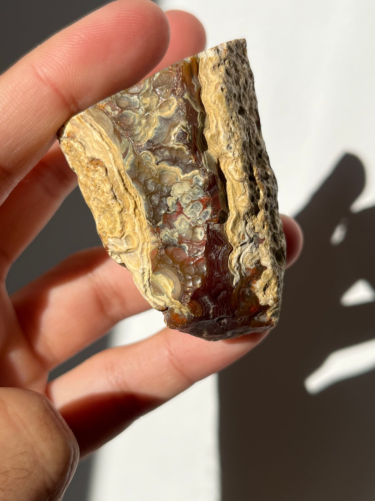 'Banded Oasis' West Indonesian River Agate Pair #B