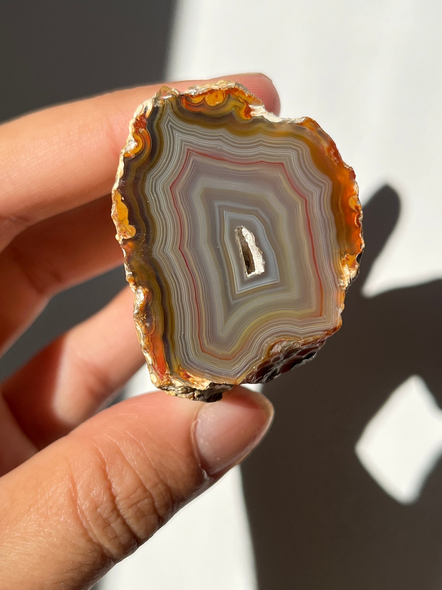 'Banded Oasis' West Indonesian River Agate Pair #B