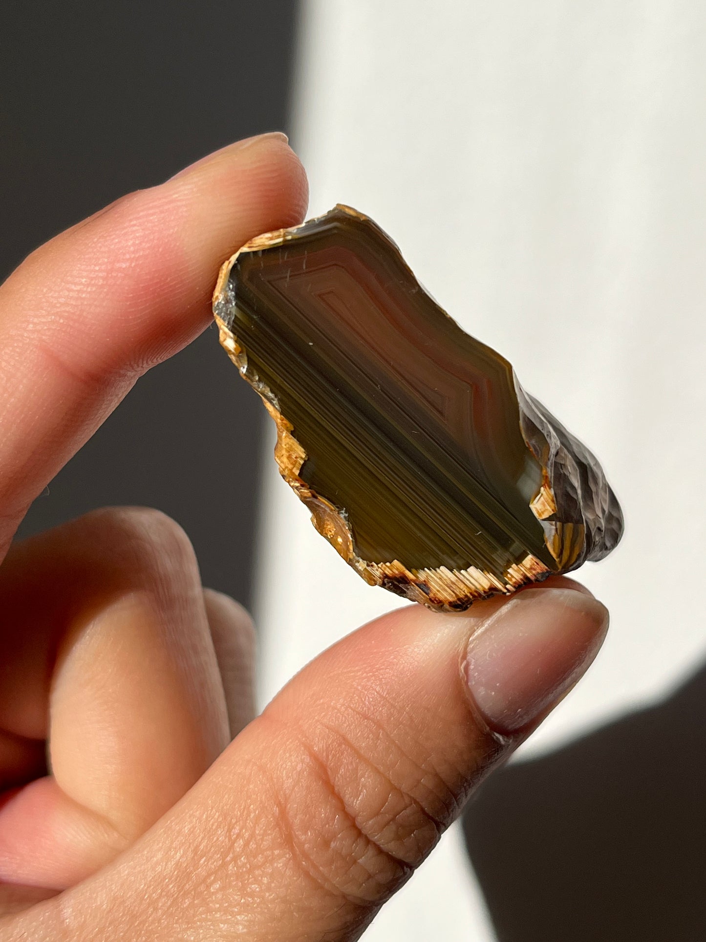 'Sigil' West Indonesian River Agate Pair R