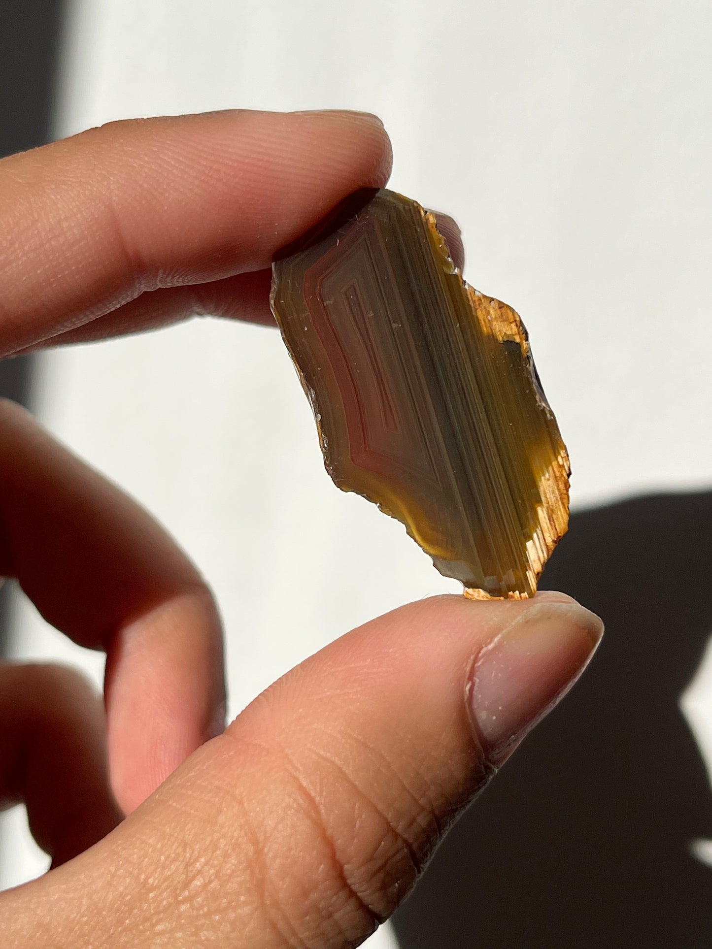 'Sigil' West Indonesian River Agate Pair R