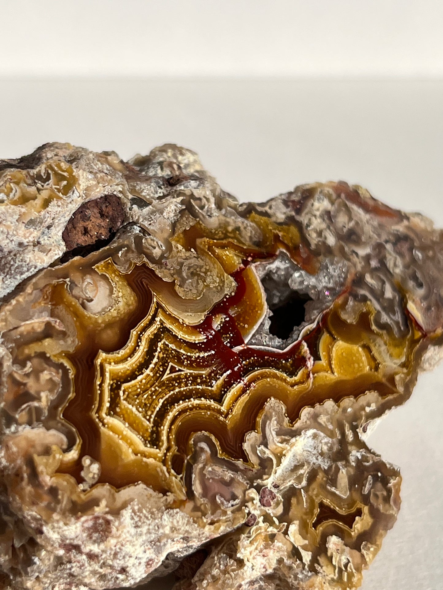 “The Artist’s Canvas” Yellow Laguna Agate with Starry Night Chalcedony Inclusions (ex. Sachdave S Collection)
