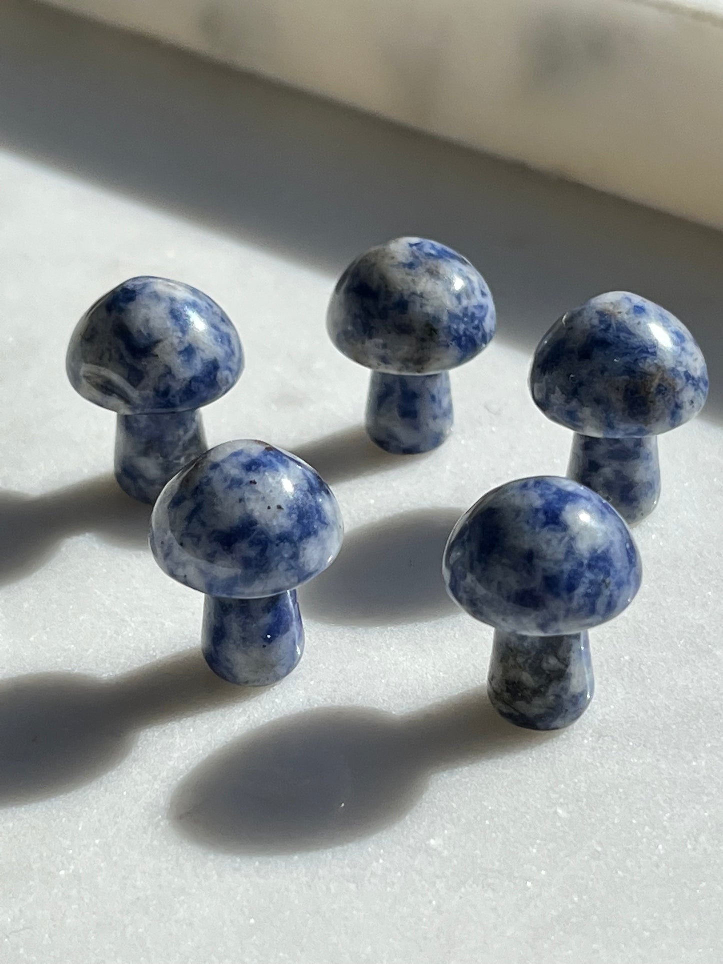 Sodalite Mushroom Carving