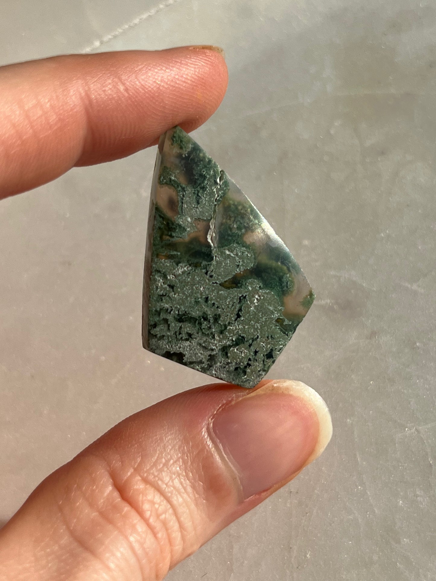 Danau 玛瑙配绿色苔藓风筝和扇形凸圆面(您选择)