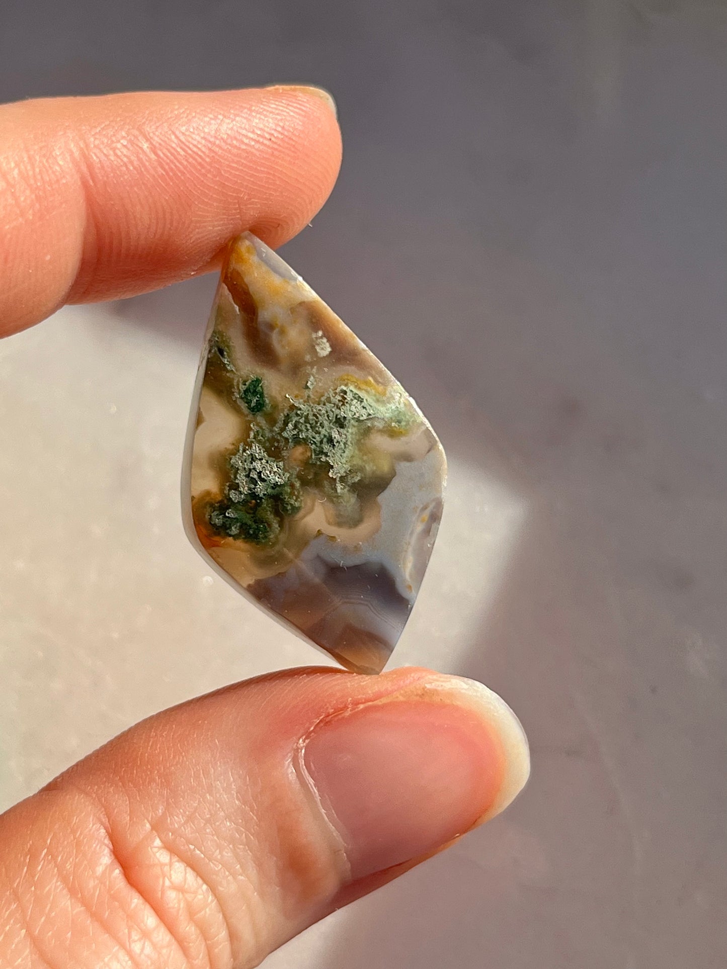 Danau 玛瑙配绿色苔藓风筝和扇形凸圆面(您选择)