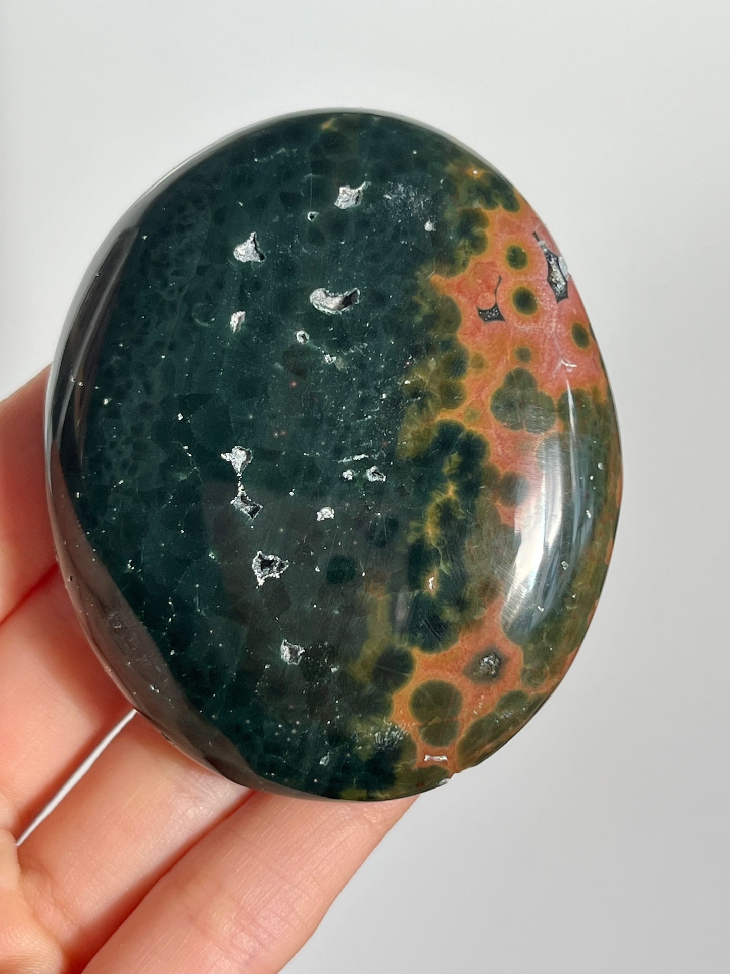 “省略号”Kabamby Ocean Jasper Palmstone(二年级)#17
