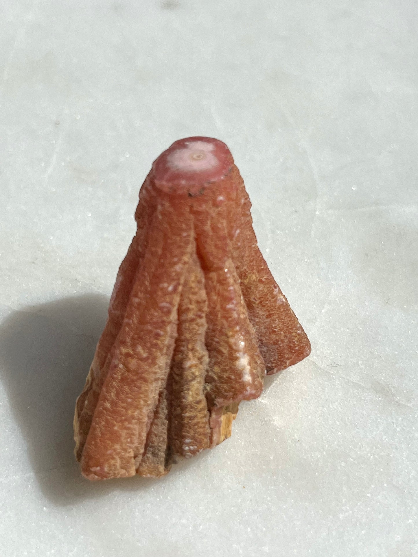 罕见的 20 世纪 80 年代红菱石 Helictite 标本 #45