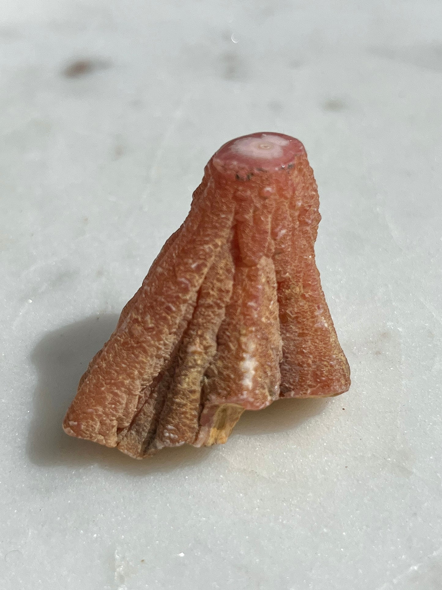 罕见的 20 世纪 80 年代红菱石 Helictite 标本 #45