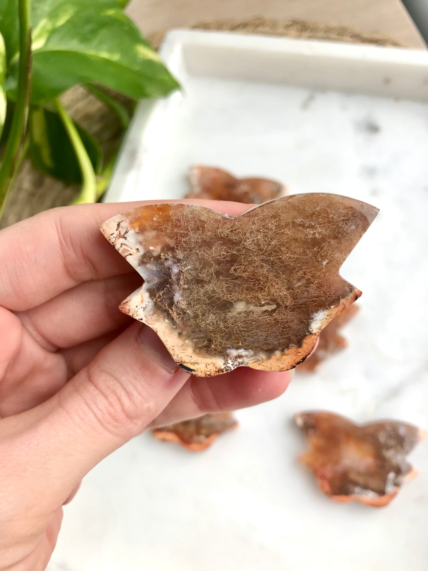 红玉髓苔蝴蝶雕刻(直觉选择)