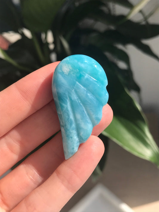 Talla de ala de ángel de Larimar de grado A+ 03