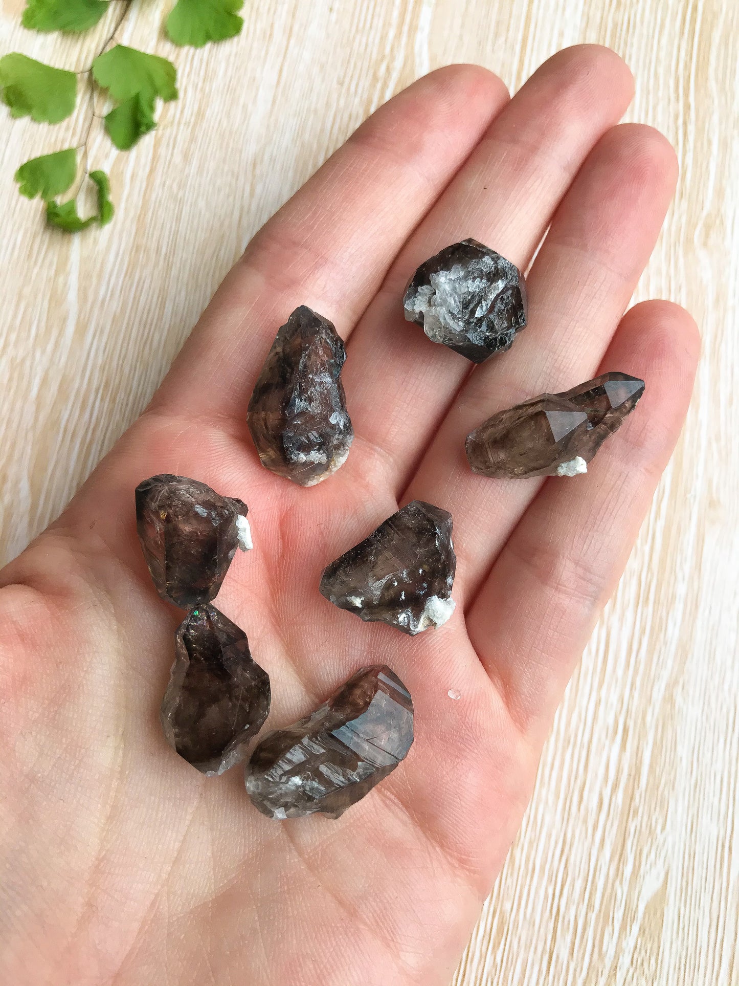 莫雷拉烟晶迷你原点