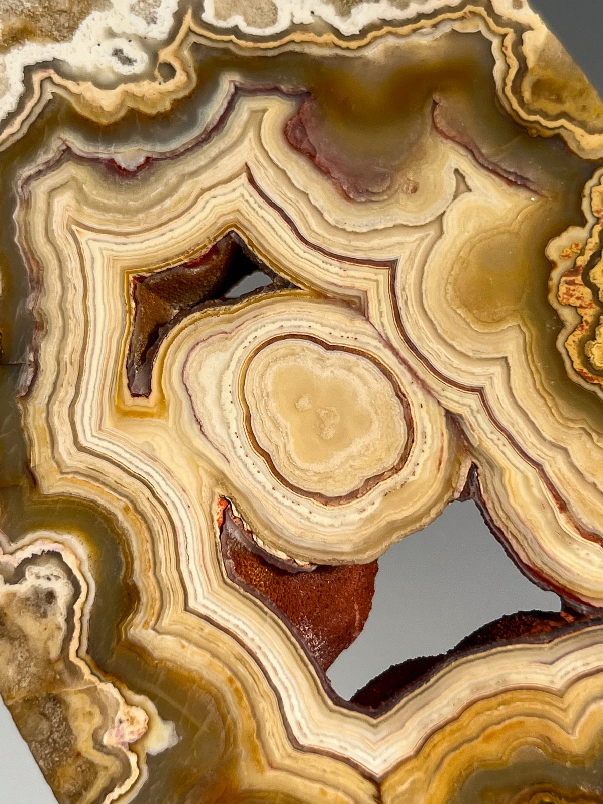Golden Lace Agate
