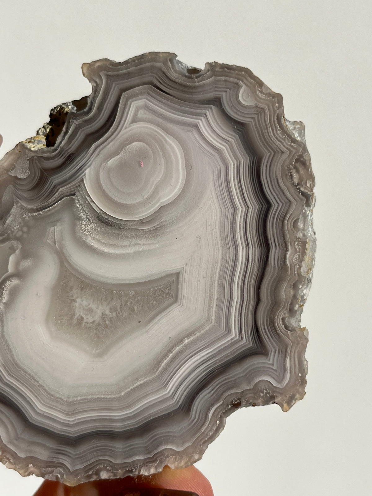 Laguna Agate
