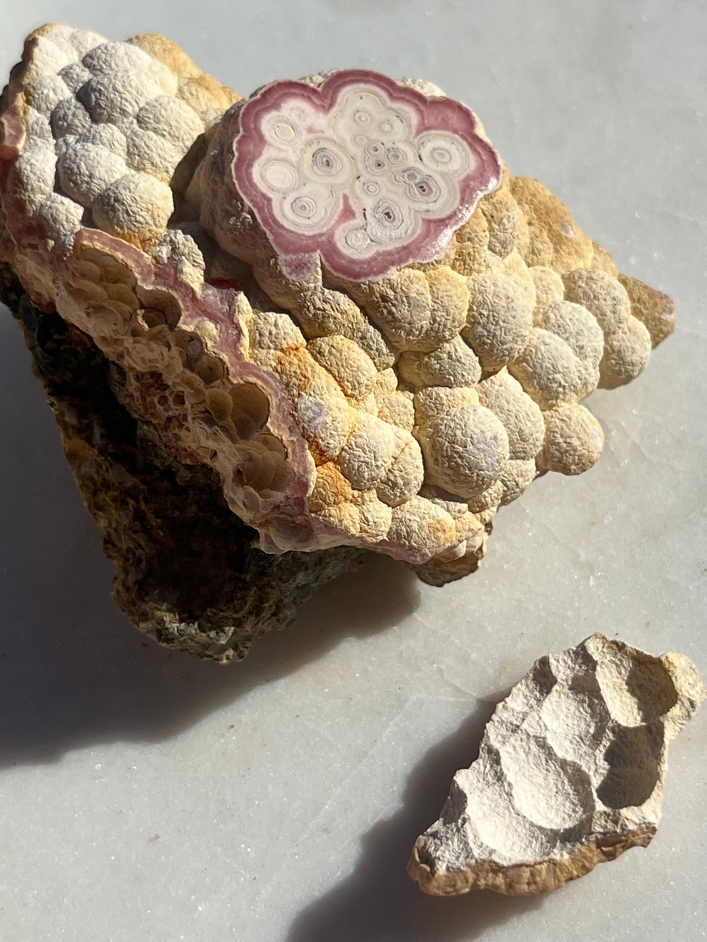 ‘Moonrock’ Botryoidal Rhodochrosite Specimen w/Cap #3