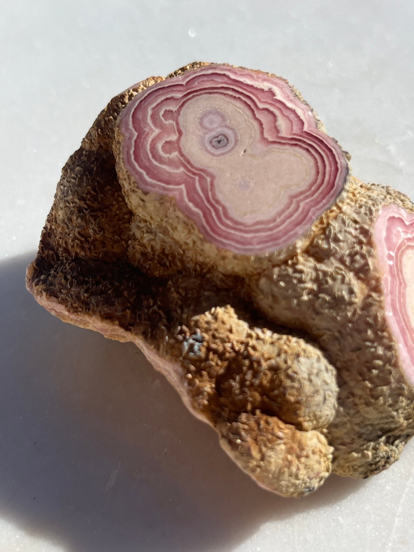 ‘Morph’ Semi Polished Botryoidal Rhodochrosite Freeform #4