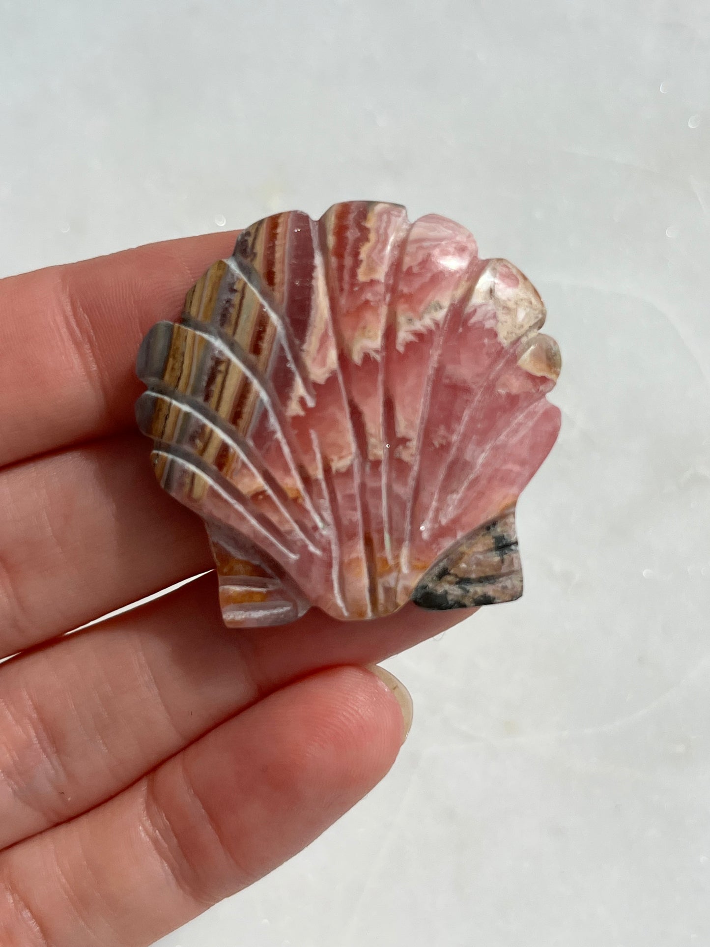 Banded Rhodochrosite Seashell Carving (You Choose)